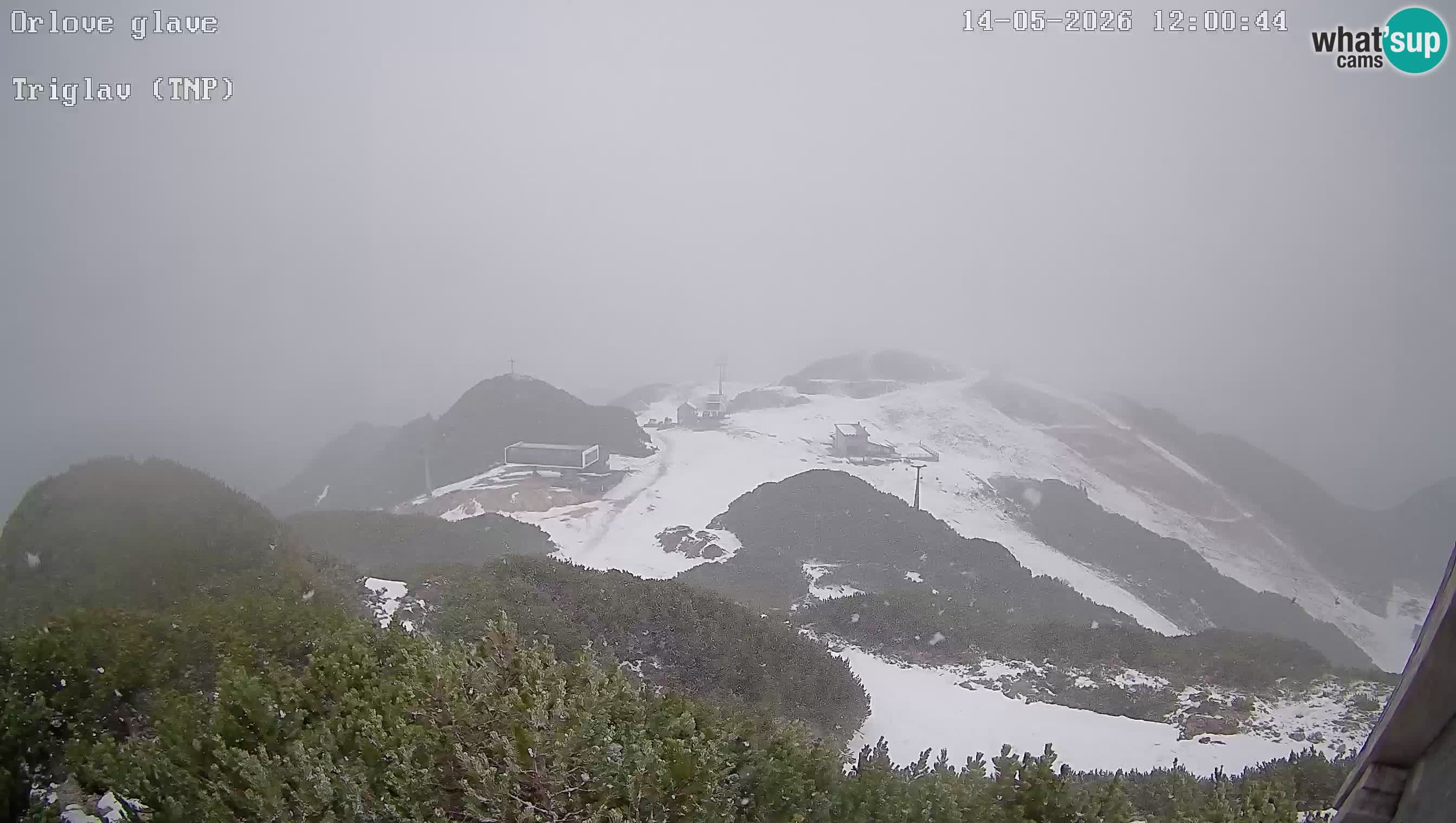 Stazione sciistica Vogel webcam Panorama dalla Orlova glave verso il Triglav