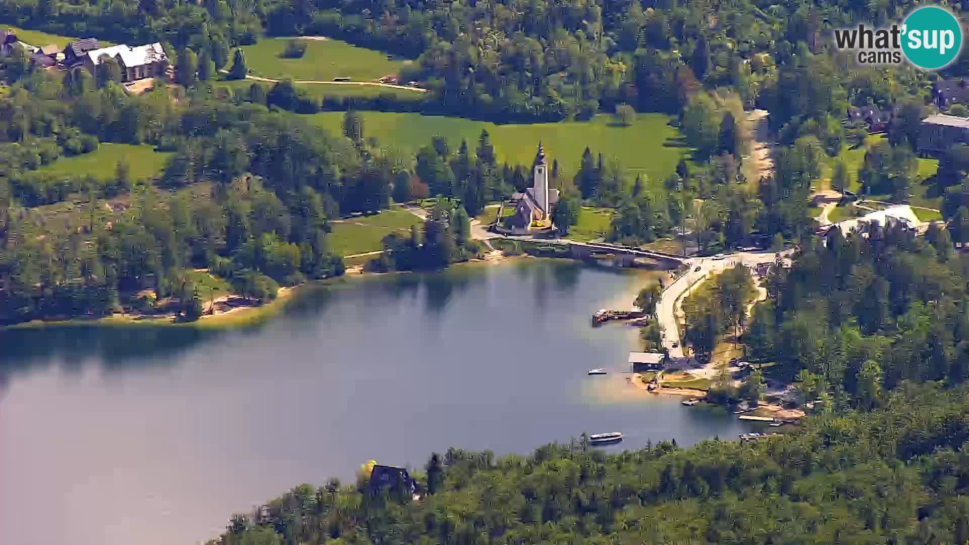 Webcam lago di Bohinj e del Triglav – vista dalla stazione sciistica di Vogel