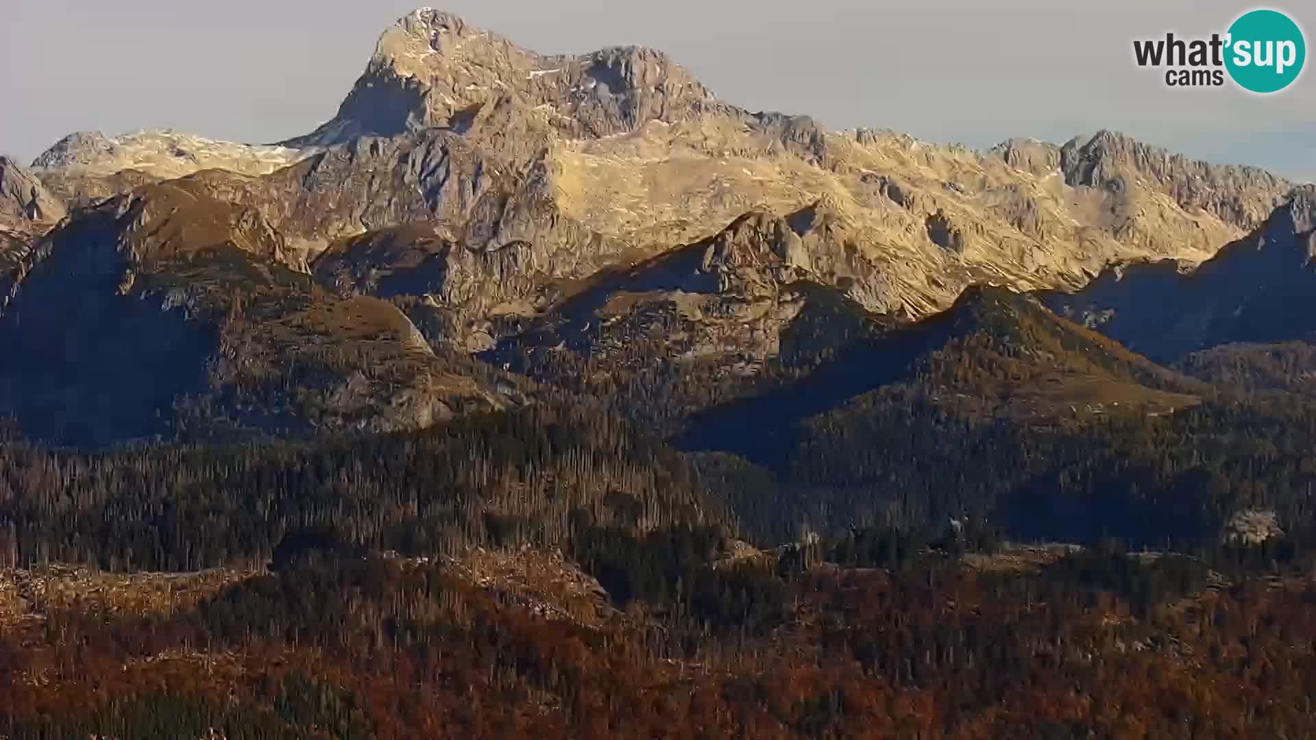 Webcam lac de Bohinj et Triglav – vue depuis la station de ski de Vogel