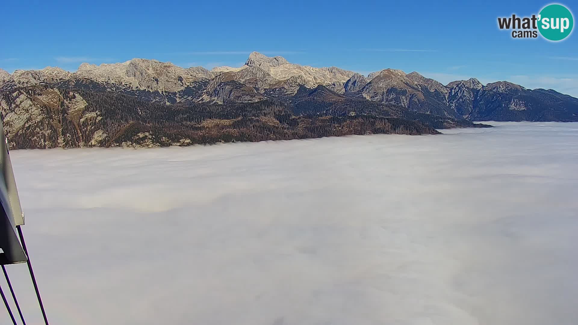 Web kamera Bohinjsko jezero i Triglav – pogled sa skijališta Vogel