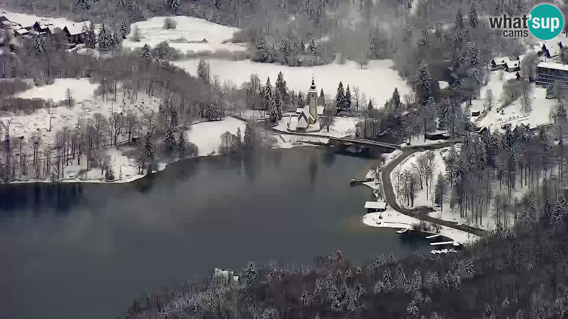 Webcam Bohinj See und Triglav – Blick vom Skigebiet Vogel