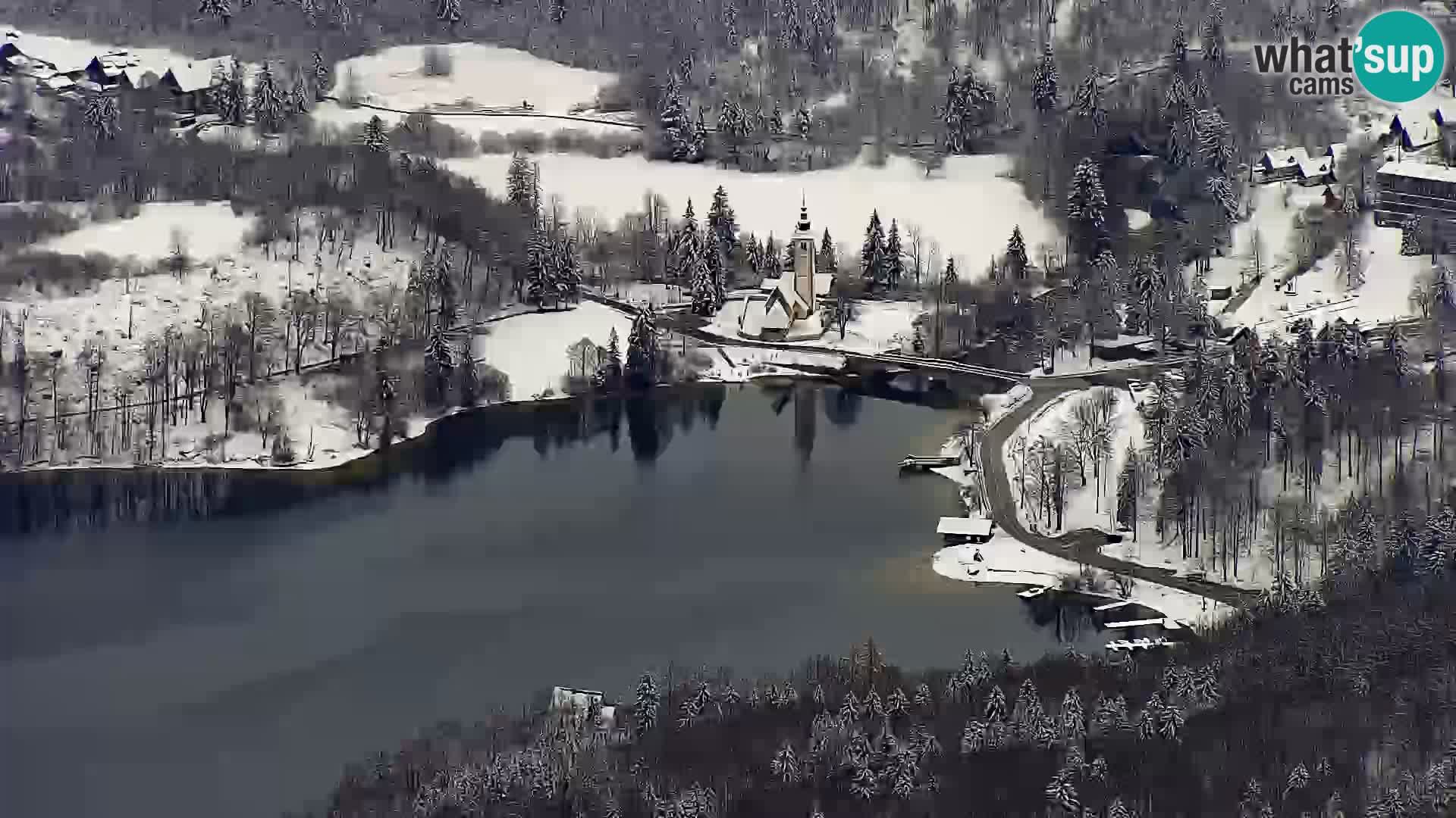 Web kamera Bohinjsko jezero i Triglav – pogled sa skijališta Vogel