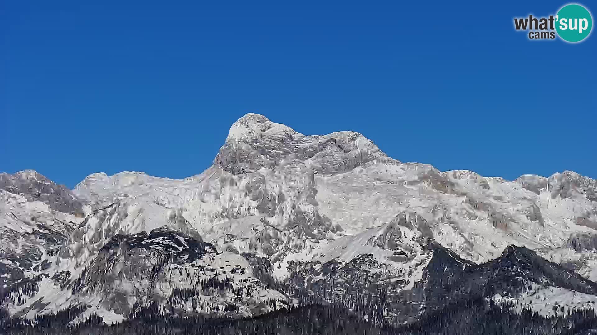 Webcam Bohinj See und Triglav – Blick vom Skigebiet Vogel