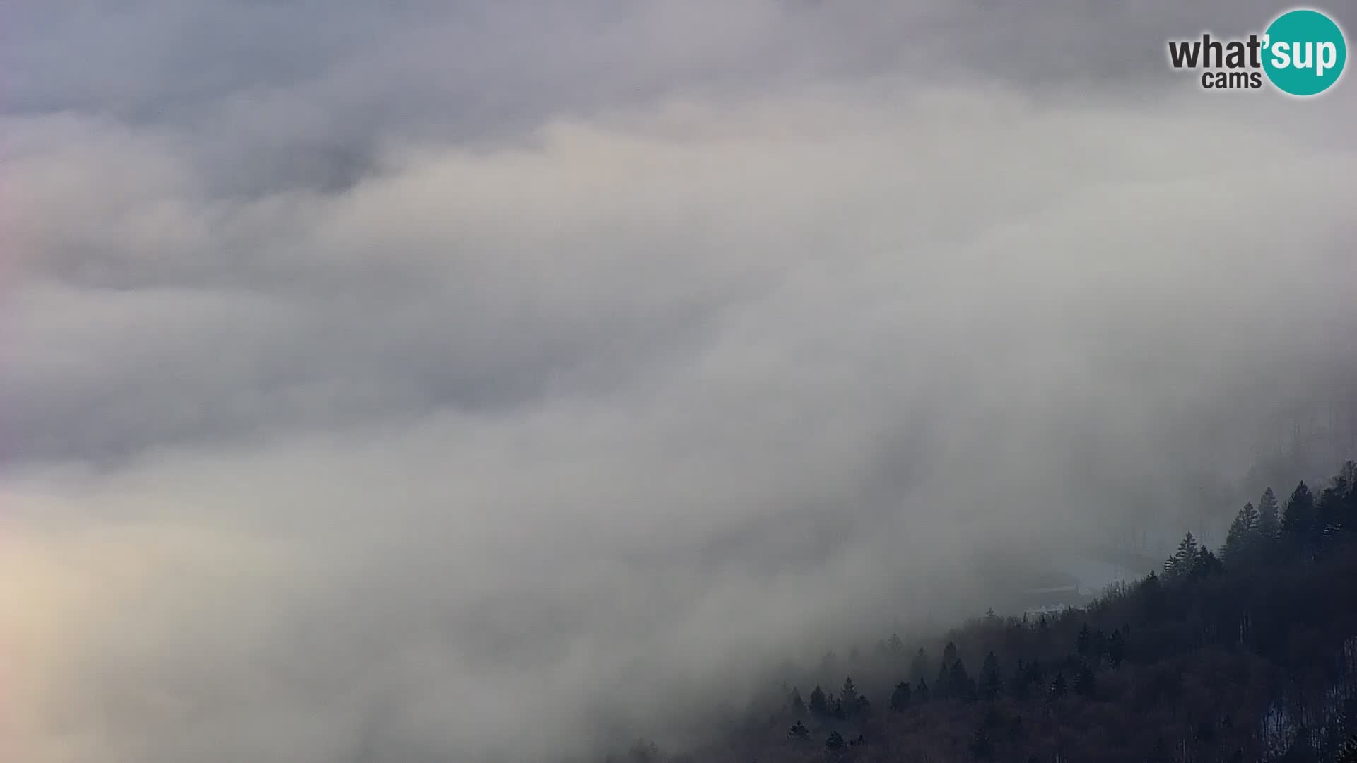 Bohinjsko jezero – Ribčev Laz