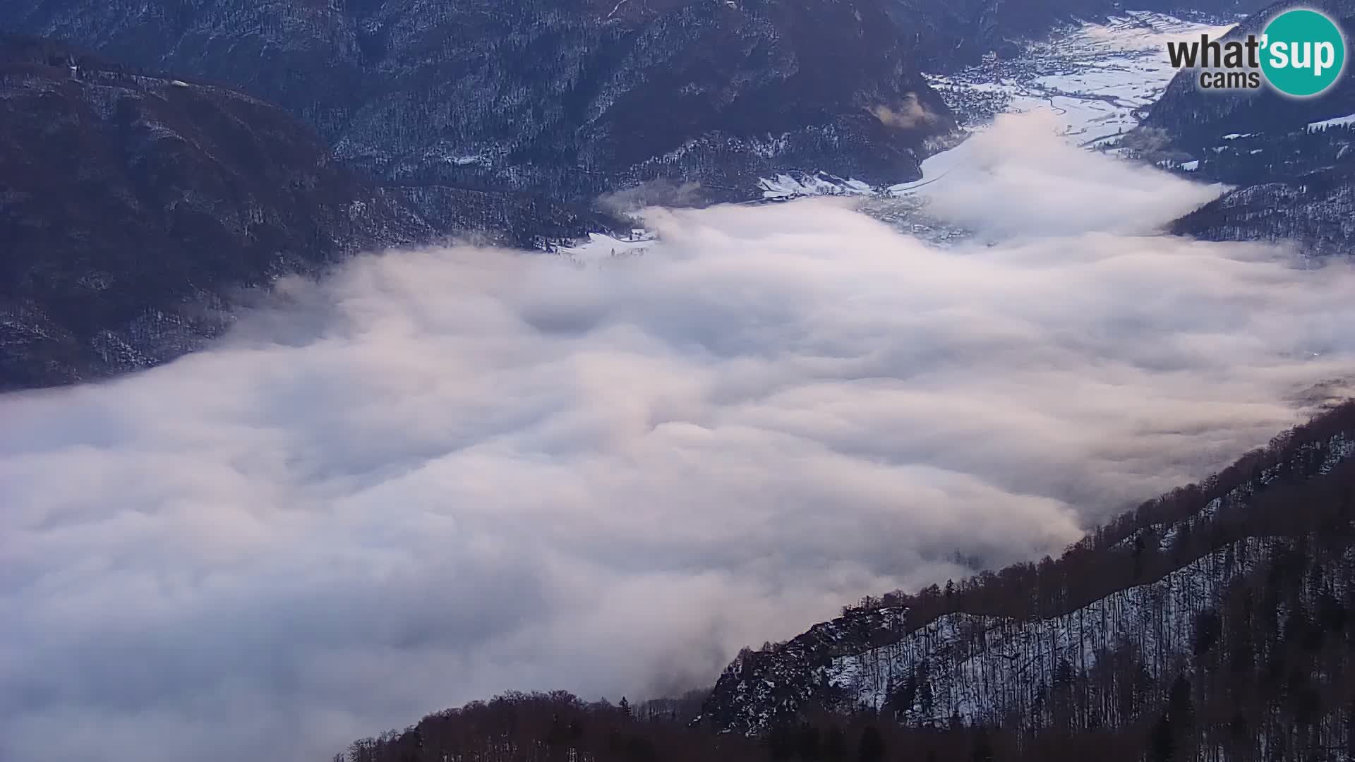 Webcam Bohinj See und Triglav – Blick vom Skigebiet Vogel