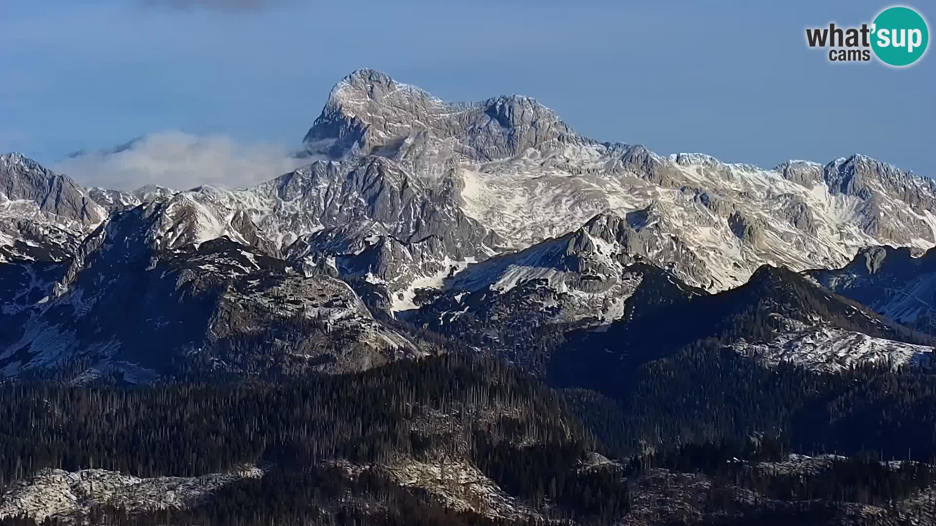 Webcam lago di Bohinj e del Triglav – vista dalla stazione sciistica di Vogel