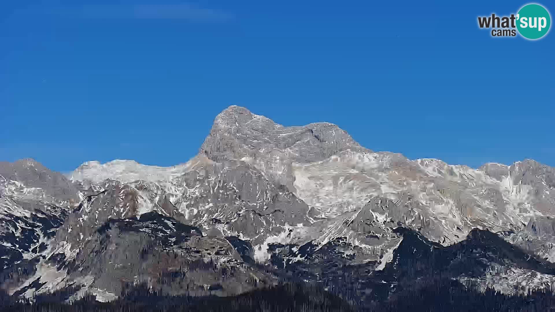 Webcam Bohinj See und Triglav – Blick vom Skigebiet Vogel