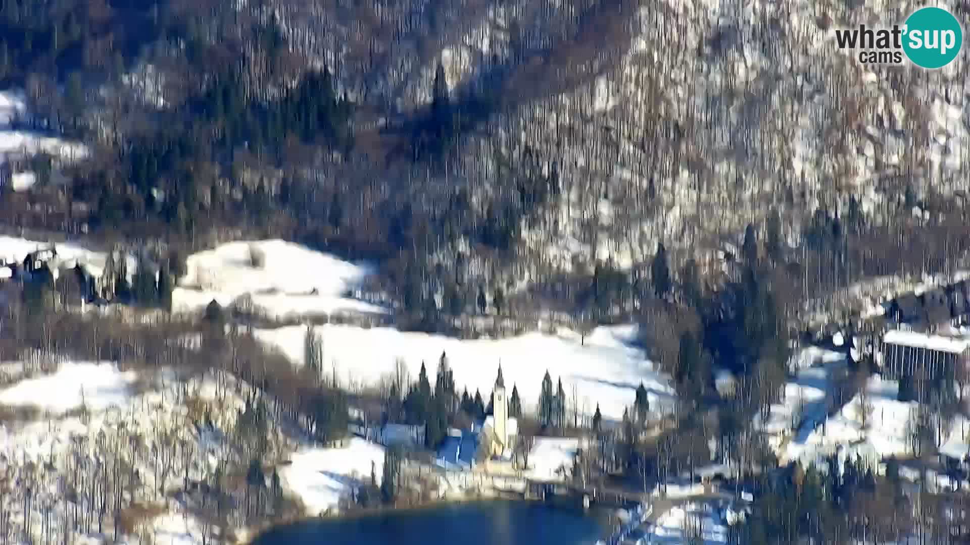 Lago di  Bohinj – Ribčev Laz