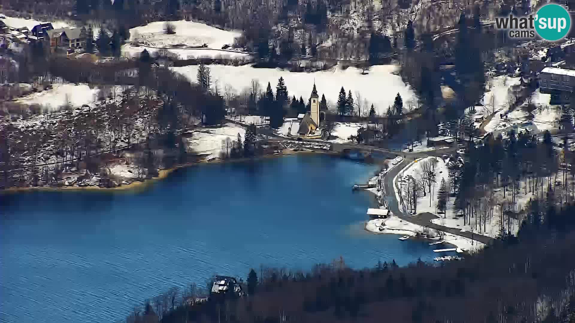 Webcam lago di Bohinj e del Triglav – vista dalla stazione sciistica di Vogel