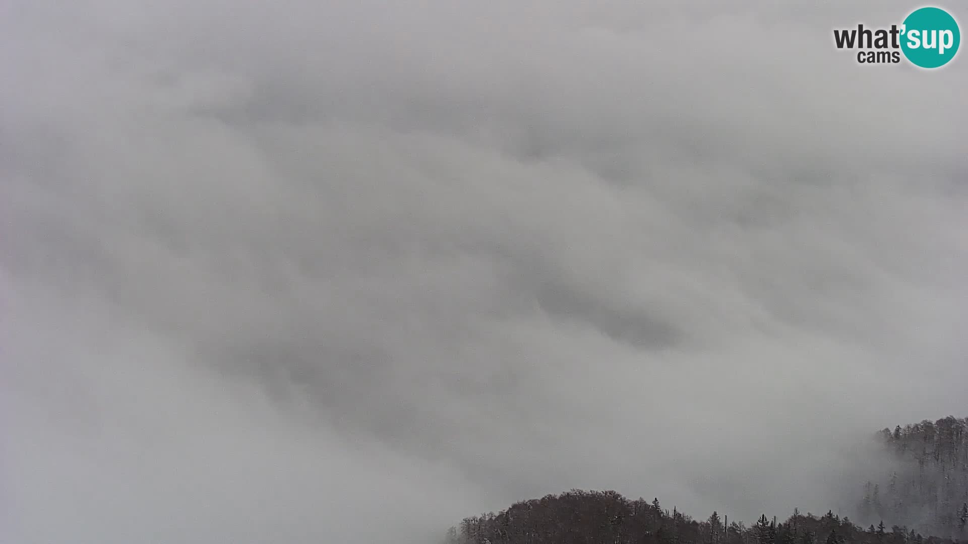 Spletna kamera Bohinj jezero in na Triglav – pogled s smučišča Vogel