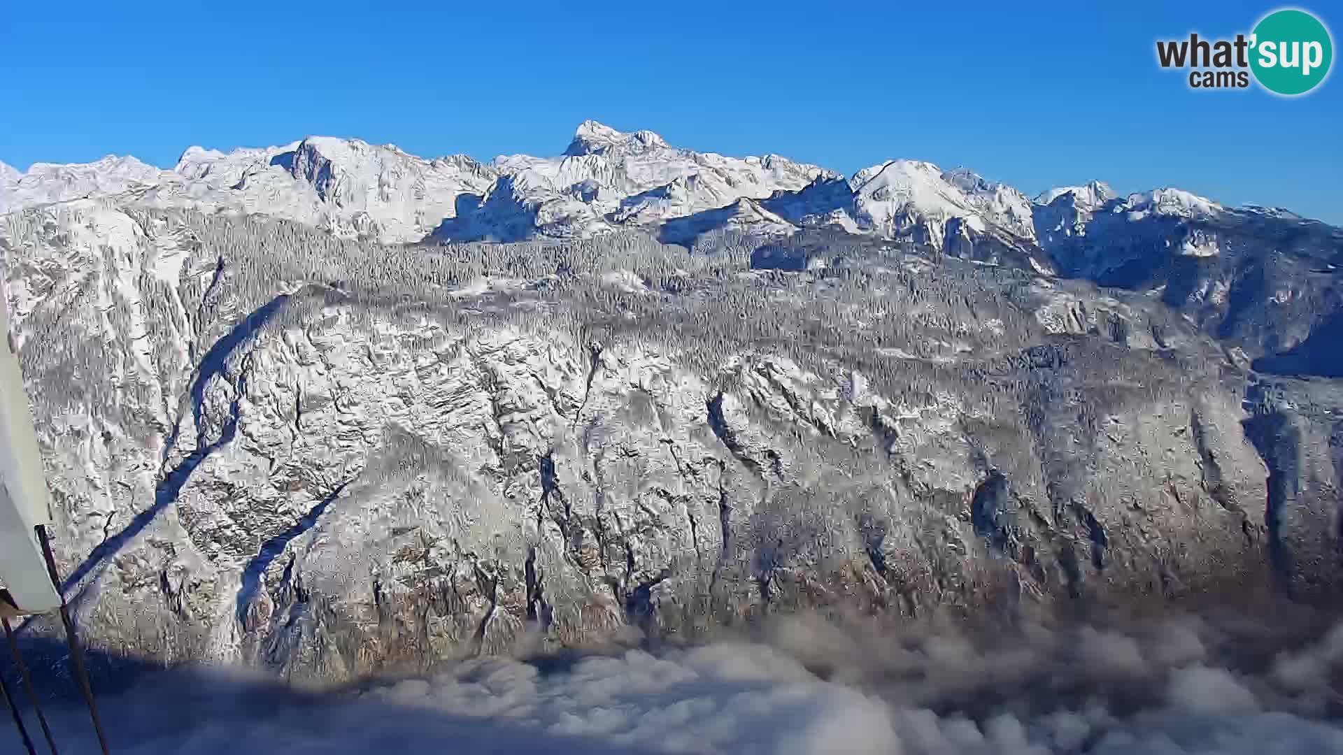 Webcam lac de Bohinj et Triglav – vue depuis la station de ski de Vogel