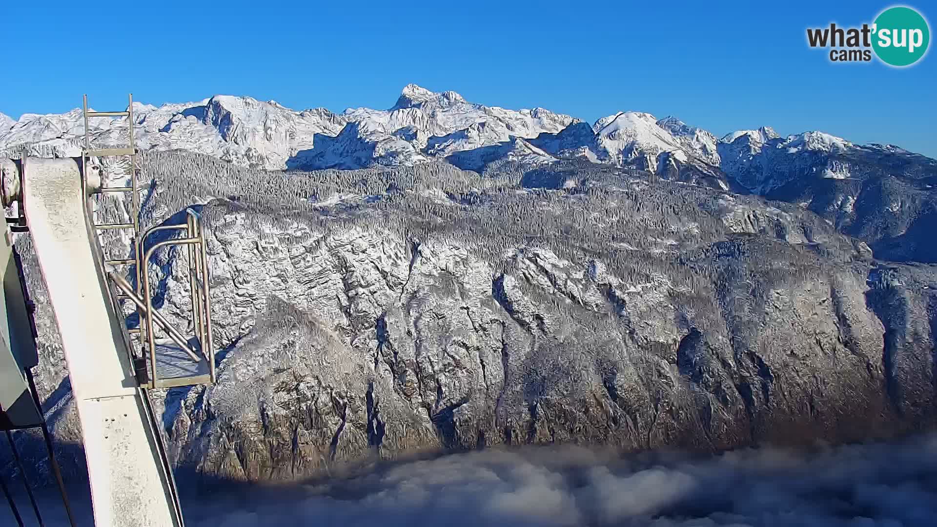 Webcam lac de Bohinj et Triglav – vue depuis la station de ski de Vogel