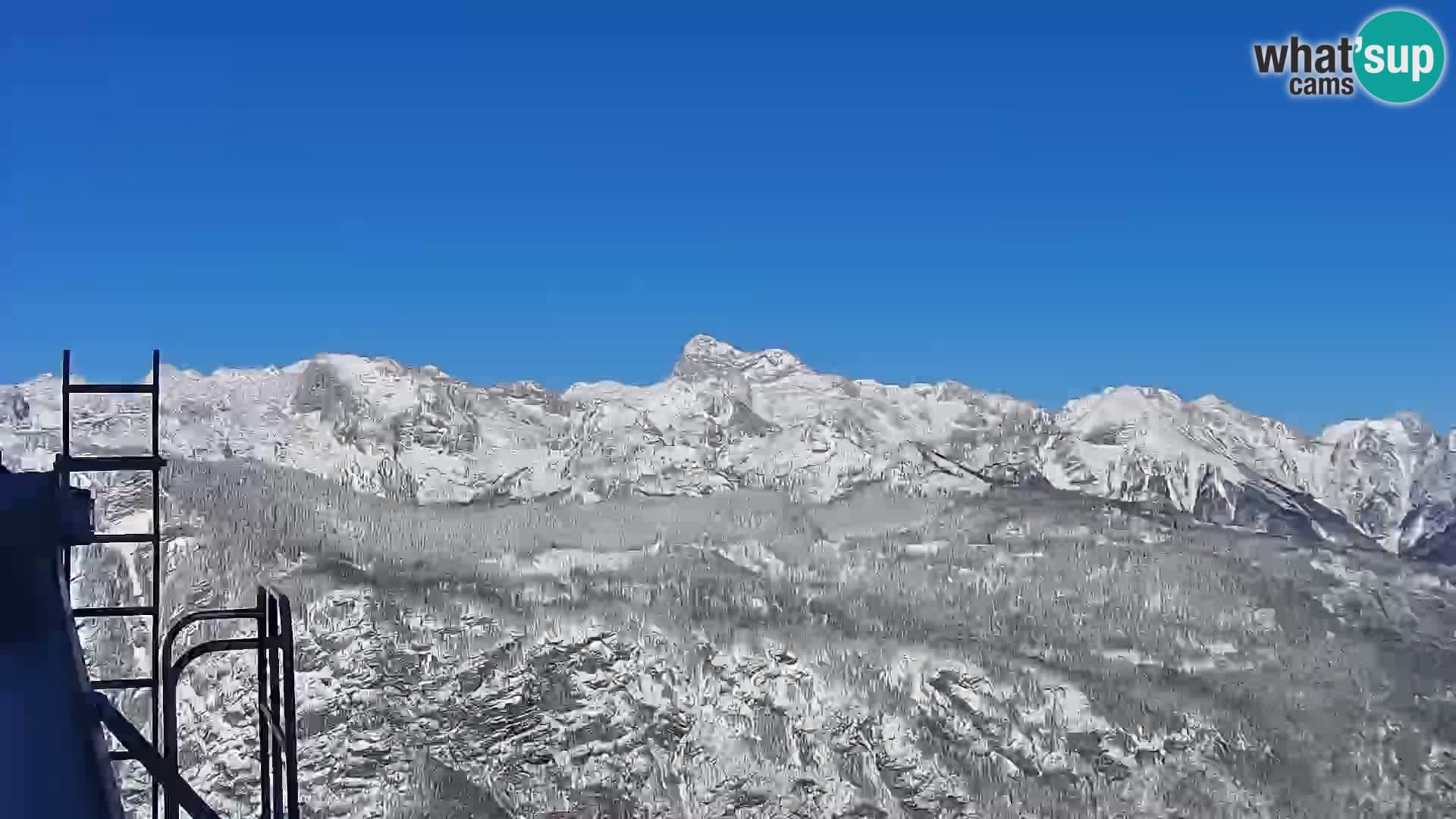 Lake Bohinj – Ribčev Laz