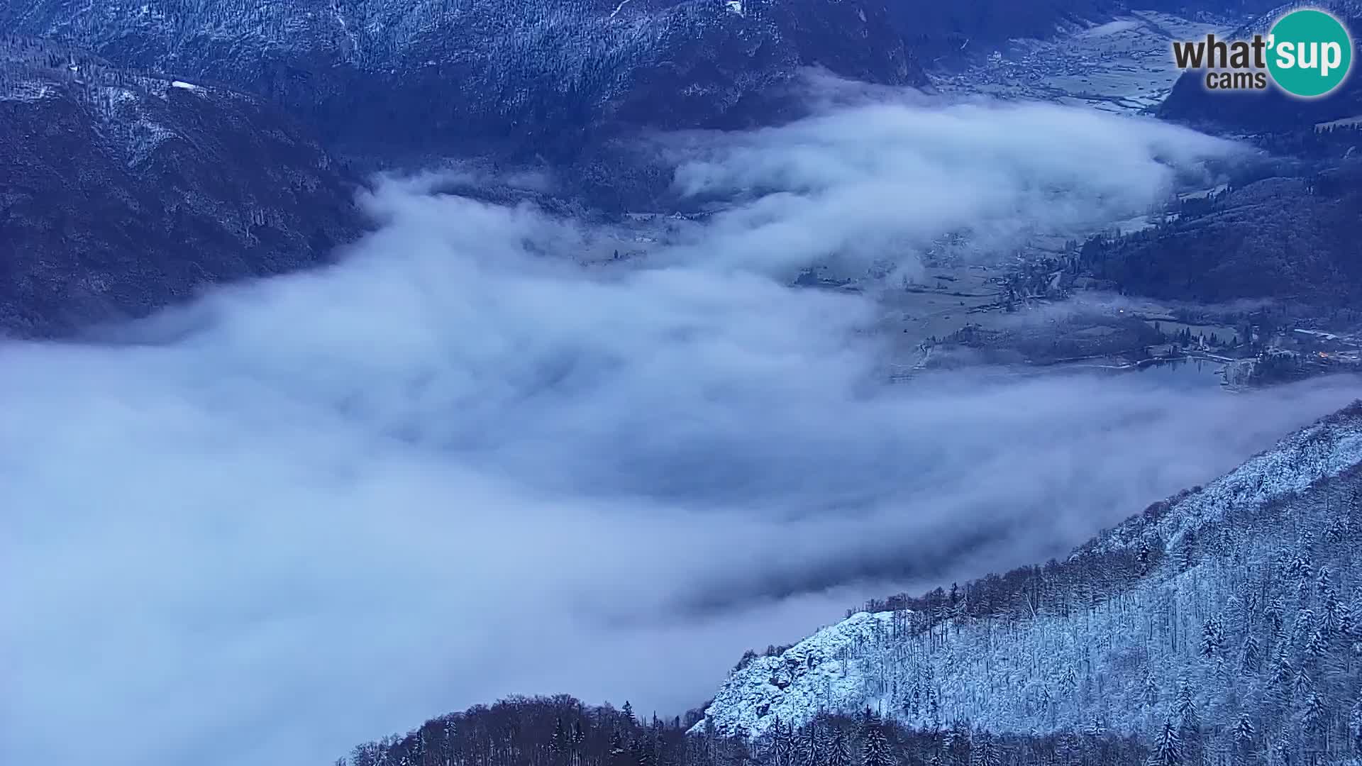 Spletna kamera Bohinj jezero in na Triglav – pogled s smučišča Vogel