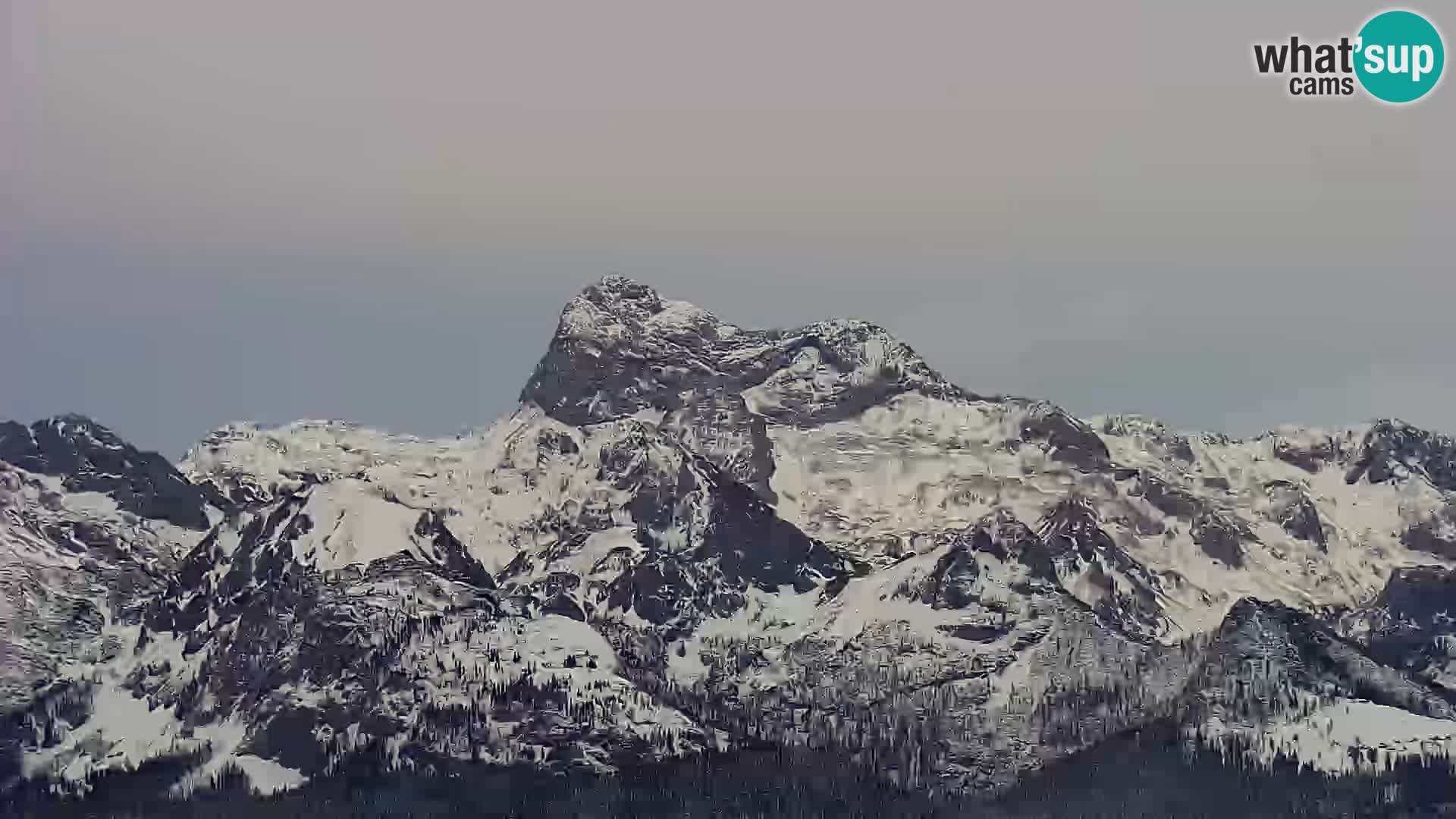 Webcam Bohinj See und Triglav – Blick vom Skigebiet Vogel