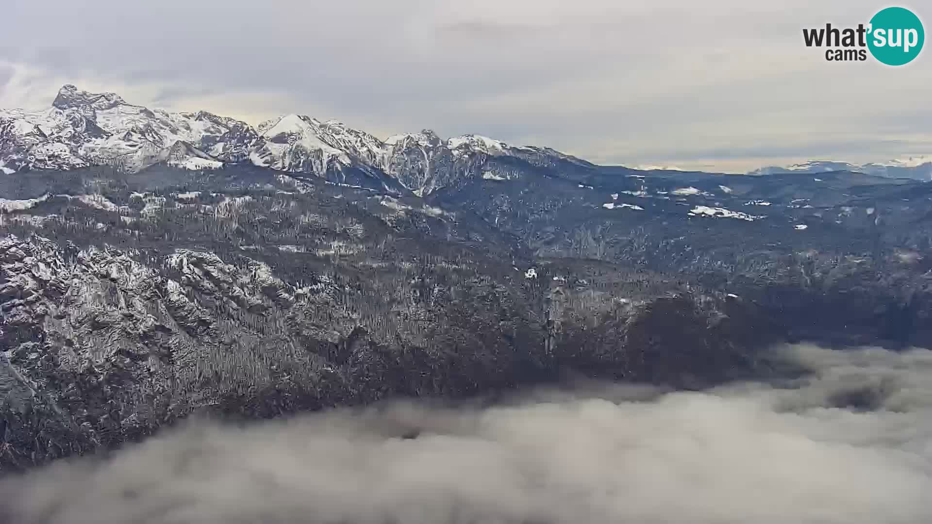 Webcam Bohinj See und Triglav – Blick vom Skigebiet Vogel