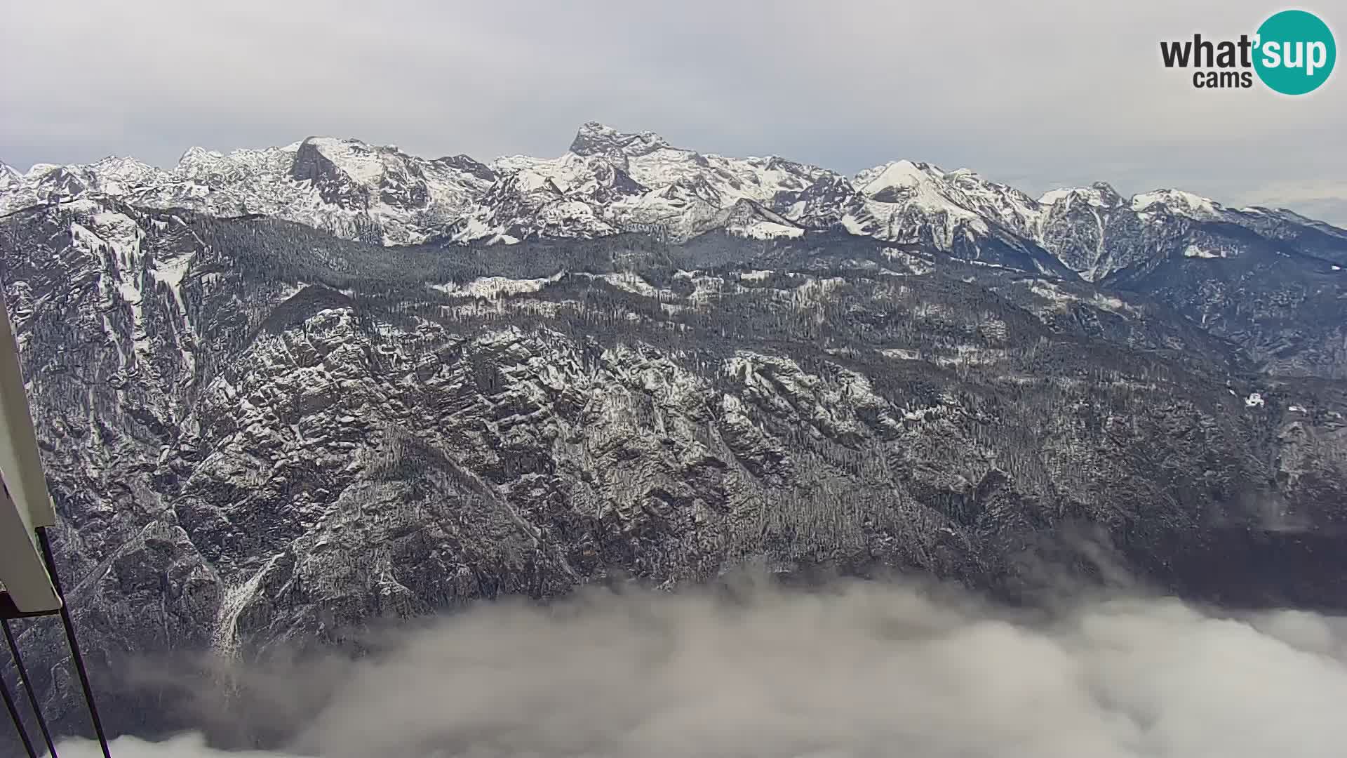 Webcam Bohinj See und Triglav – Blick vom Skigebiet Vogel