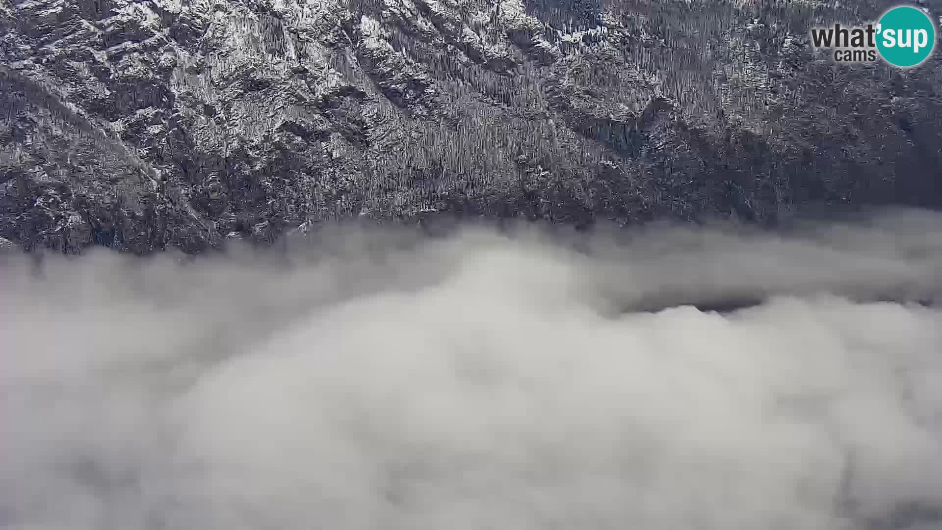 Webcam Bohinj See und Triglav – Blick vom Skigebiet Vogel