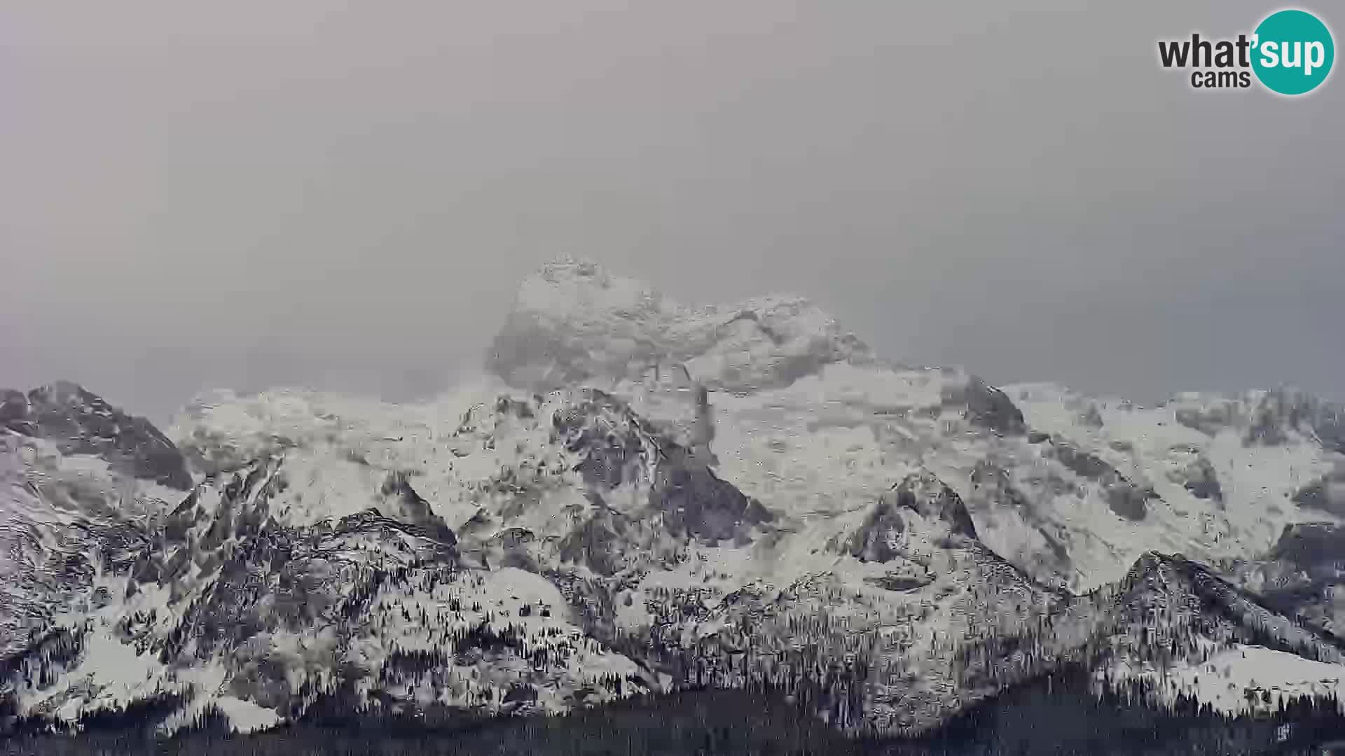 Spletna kamera Bohinj jezero in na Triglav – pogled s smučišča Vogel