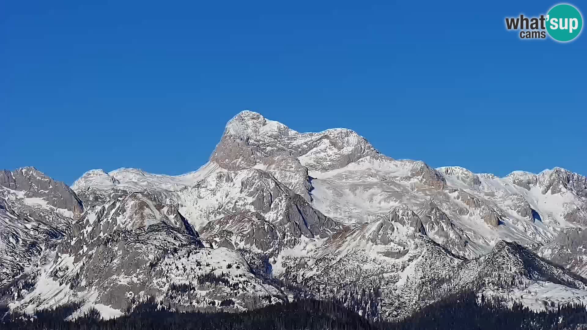 Bohinjsko jezero – Ribčev Laz