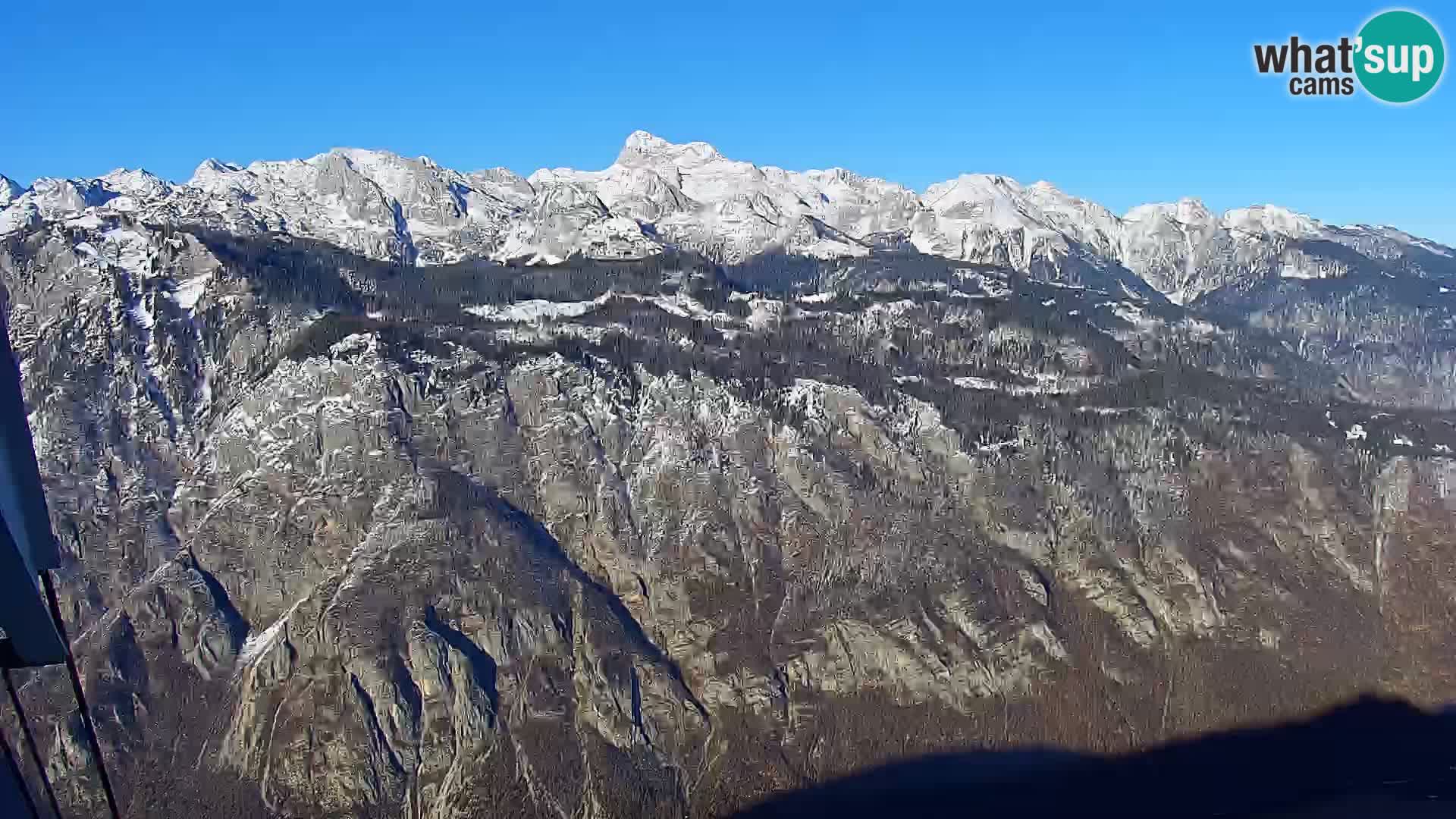 Webcam Bohinj See und Triglav – Blick vom Skigebiet Vogel