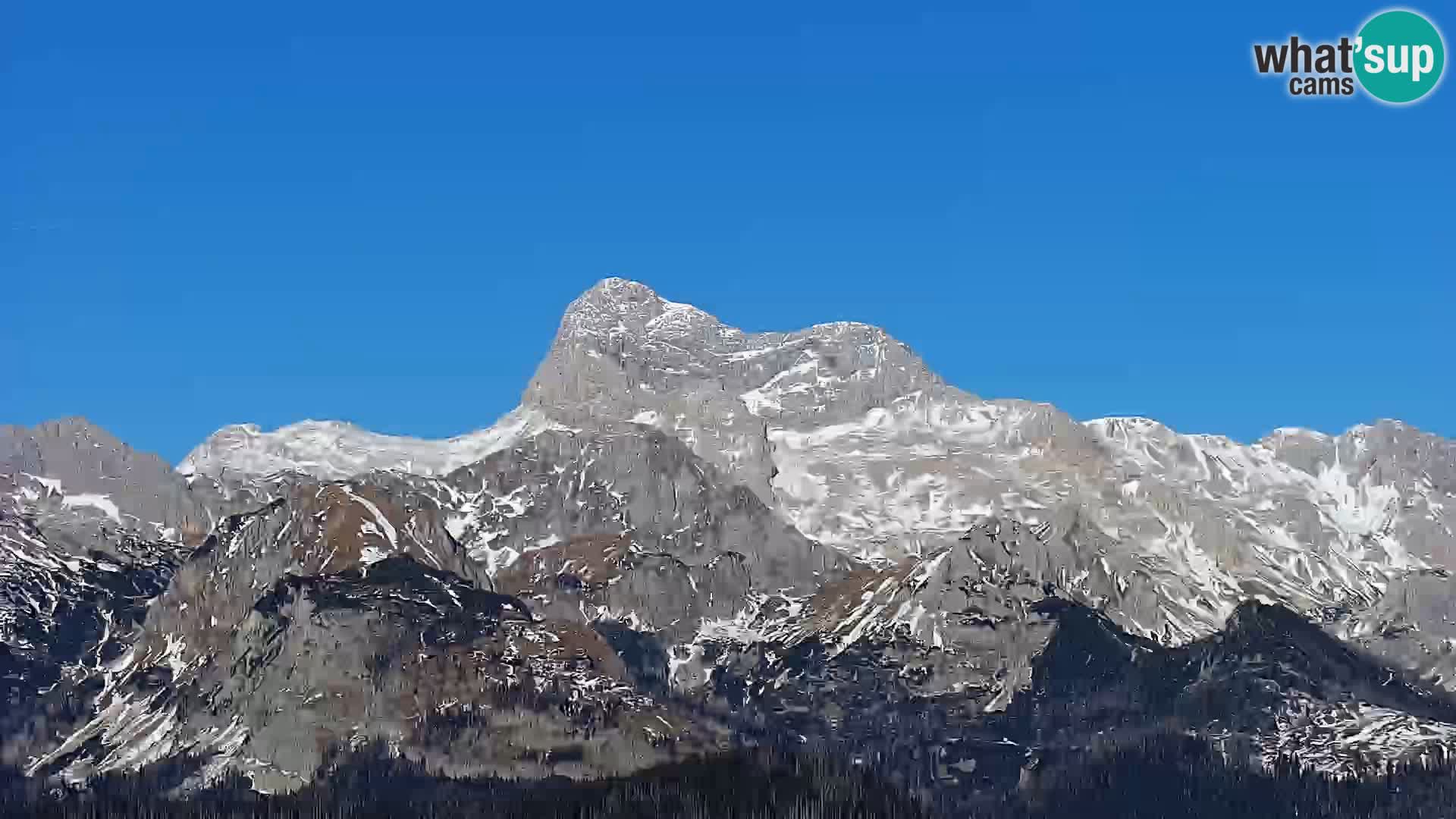 Webcam lac de Bohinj et Triglav – vue depuis la station de ski de Vogel