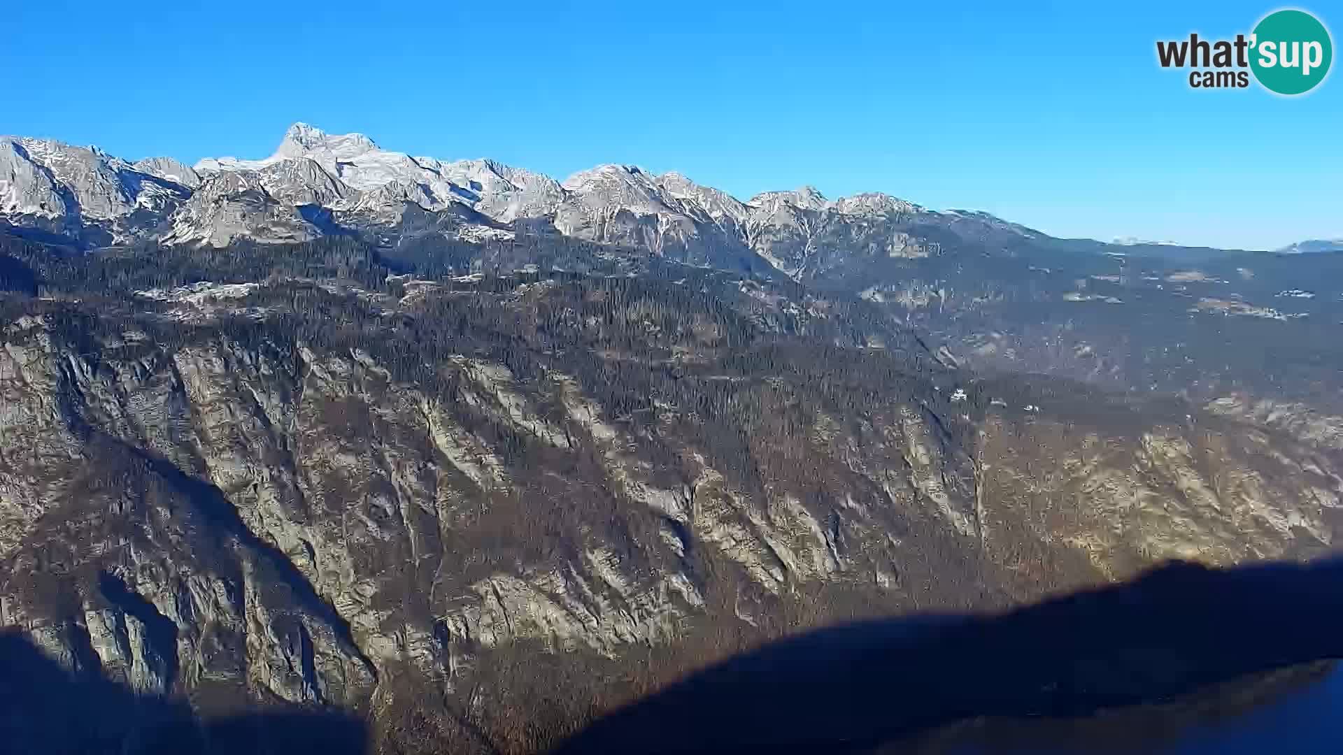 Webcam lac de Bohinj et Triglav – vue depuis la station de ski de Vogel