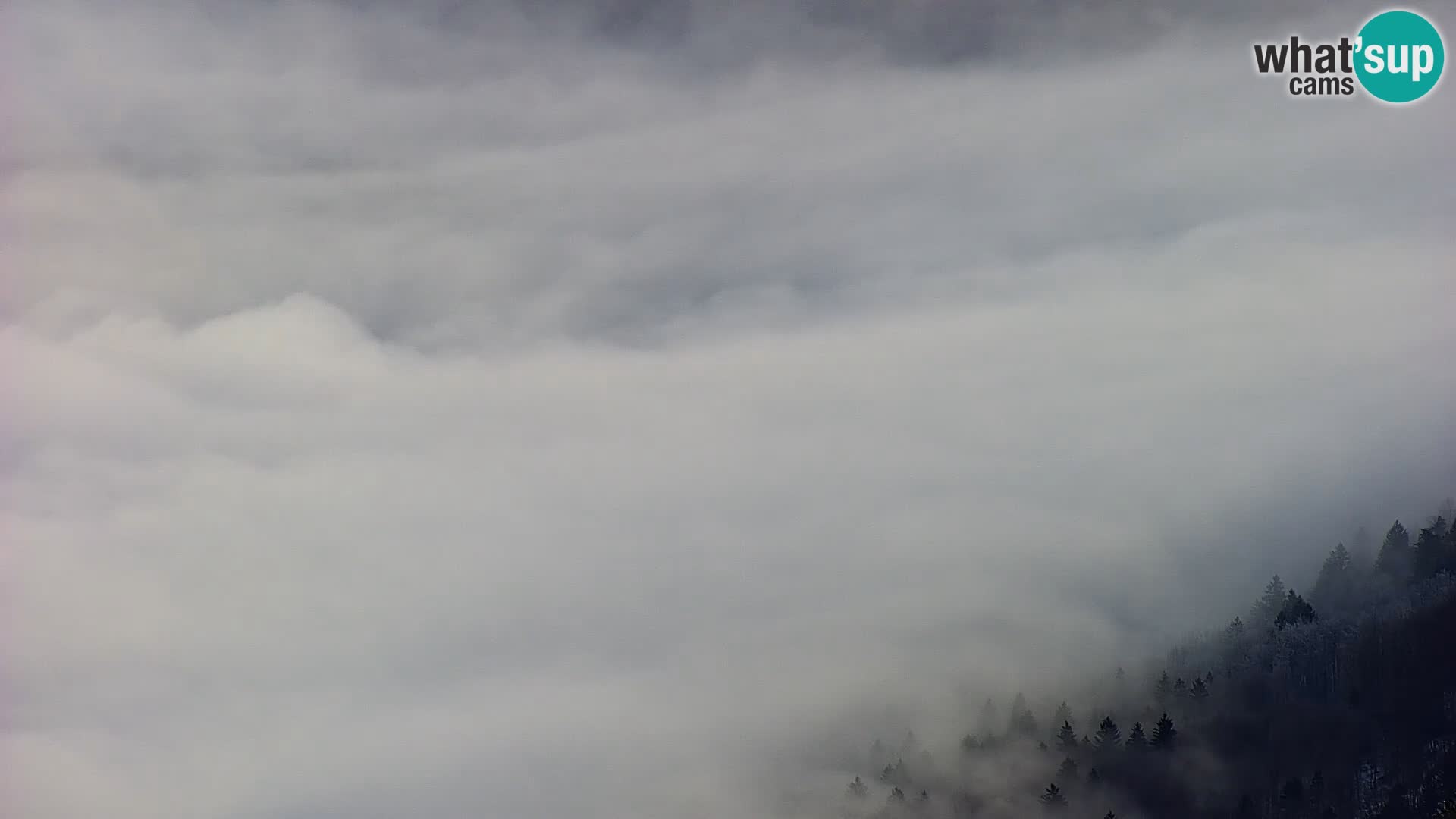 Spletna kamera Bohinj jezero in na Triglav – pogled s smučišča Vogel