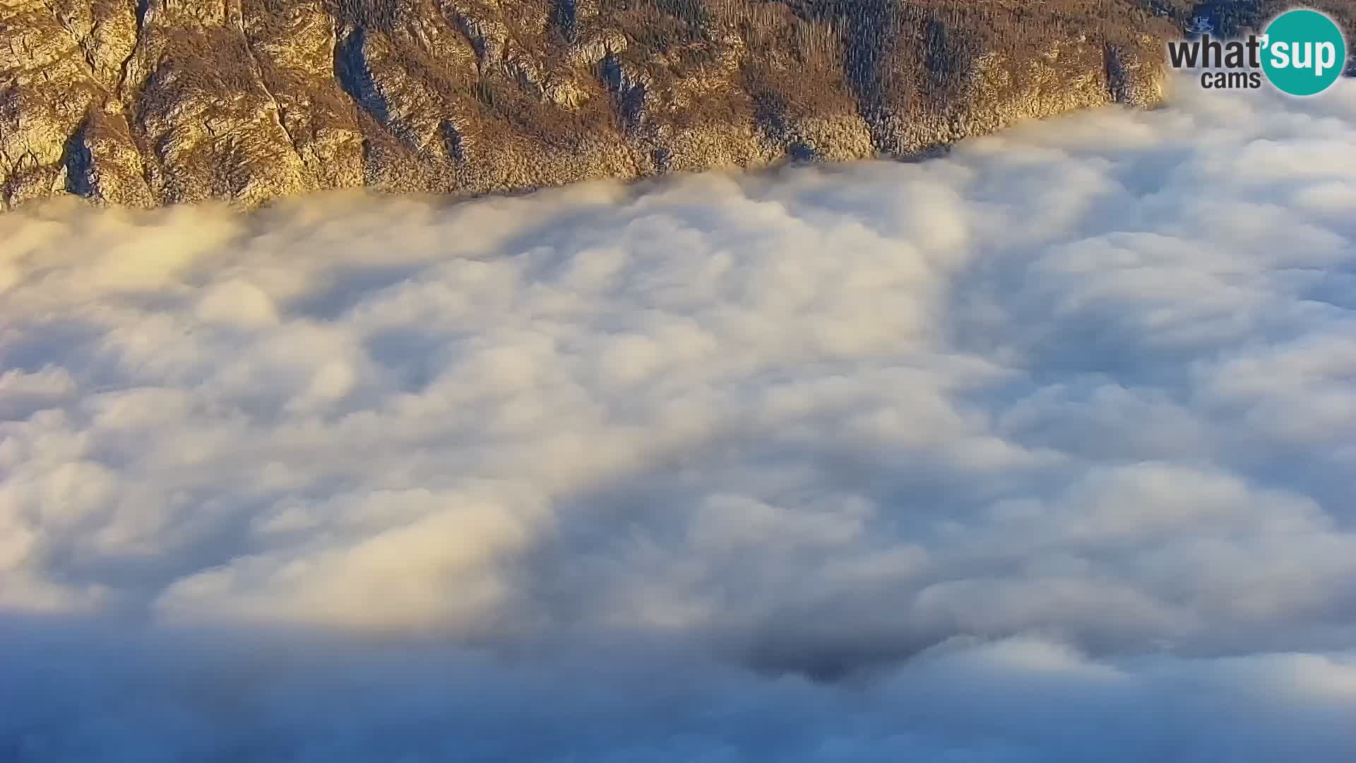 Webcam lac de Bohinj et Triglav – vue depuis la station de ski de Vogel