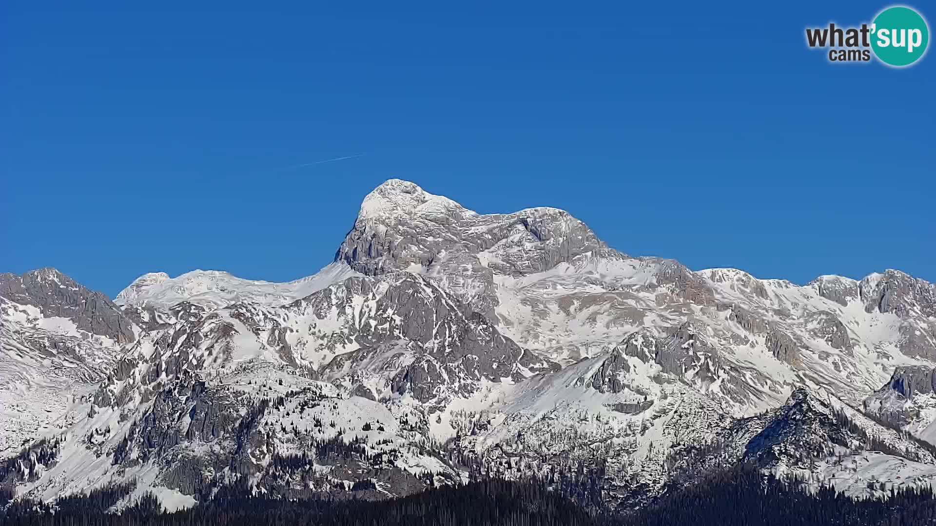 Webcam lago di Bohinj e del Triglav – vista dalla stazione sciistica di Vogel