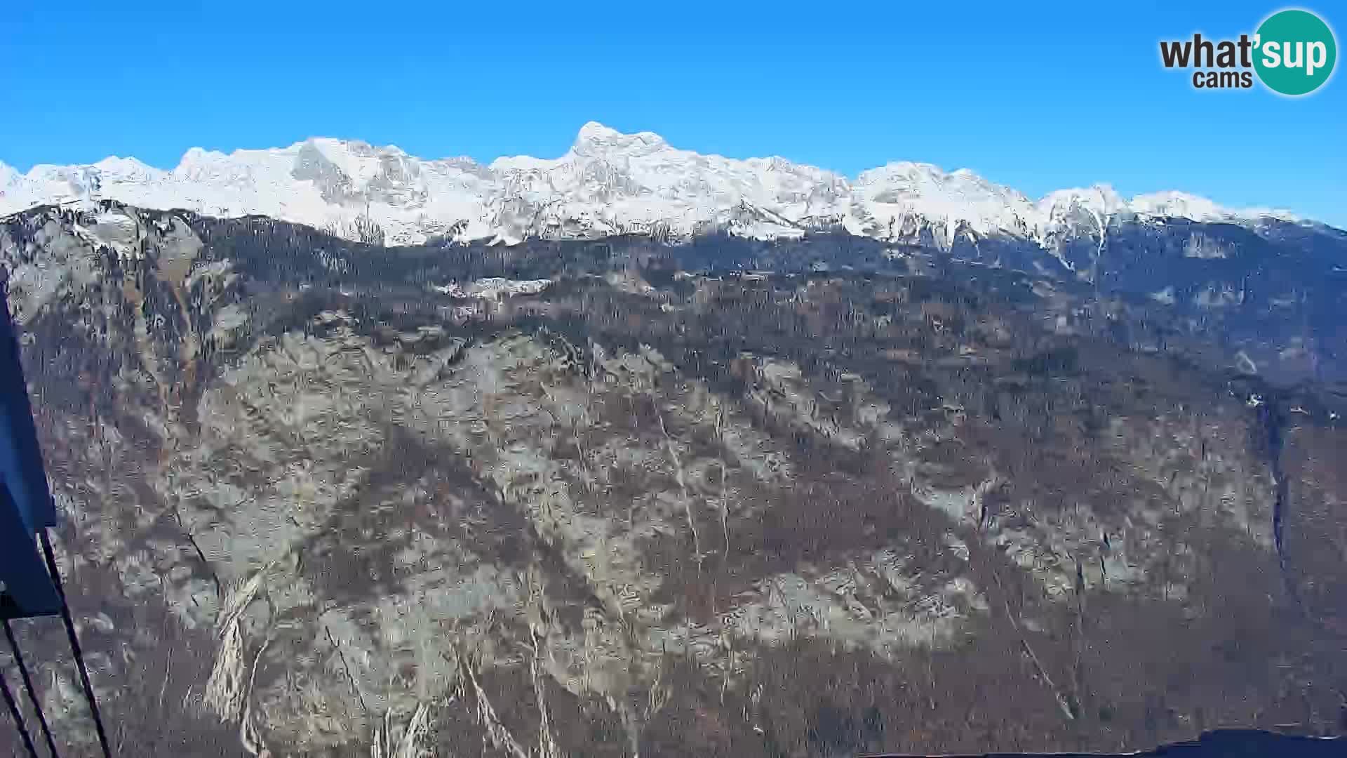 Webcam Bohinj See und Triglav – Blick vom Skigebiet Vogel