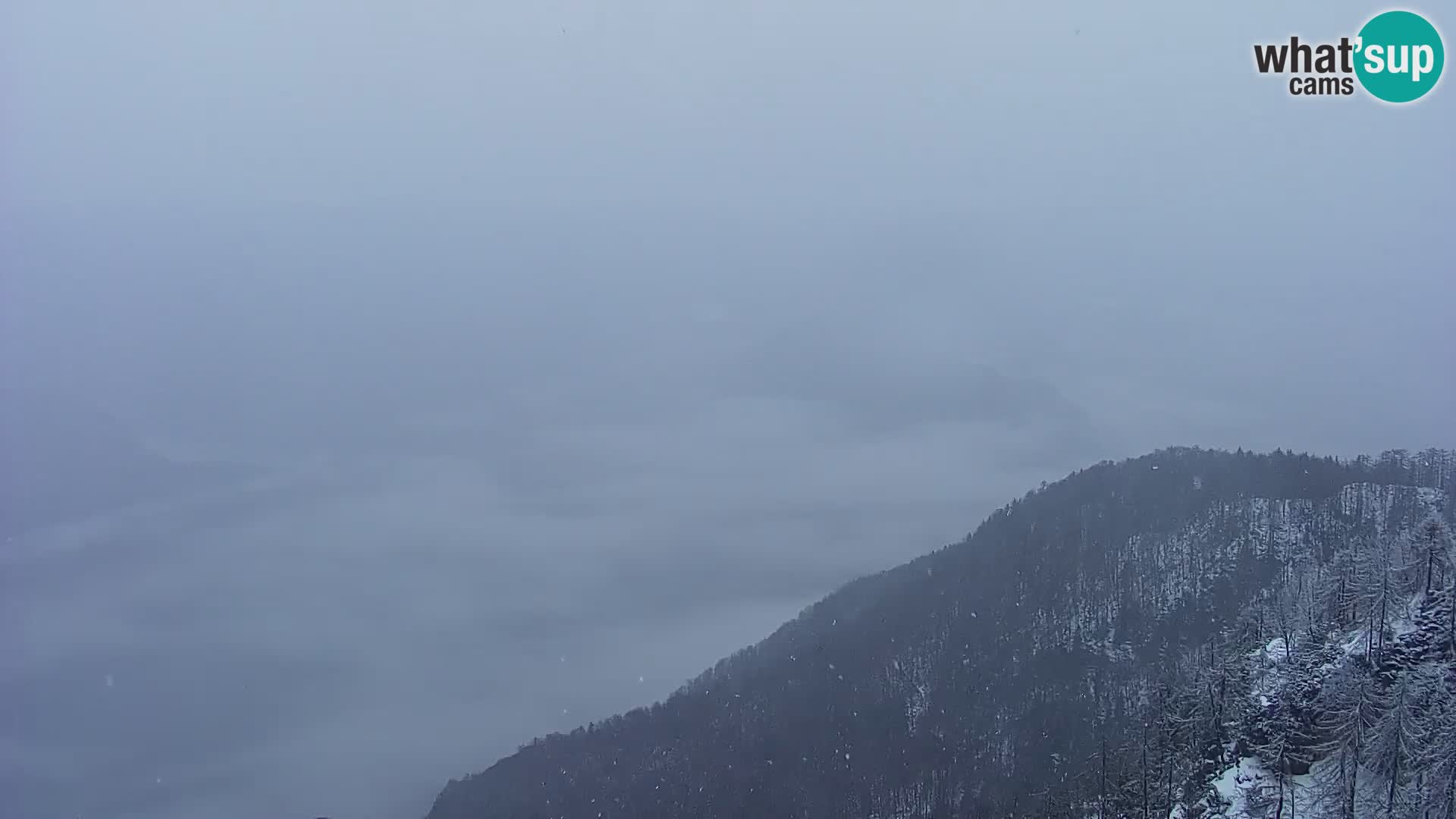 Webcam lac de Bohinj et Triglav – vue depuis la station de ski de Vogel