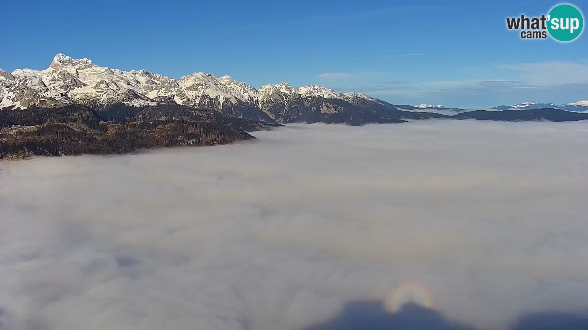 Spletna kamera Bohinj jezero in na Triglav – pogled s smučišča Vogel