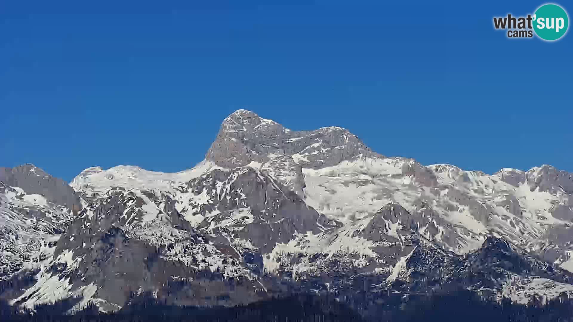 Bohinjsko jezero – Ribčev Laz