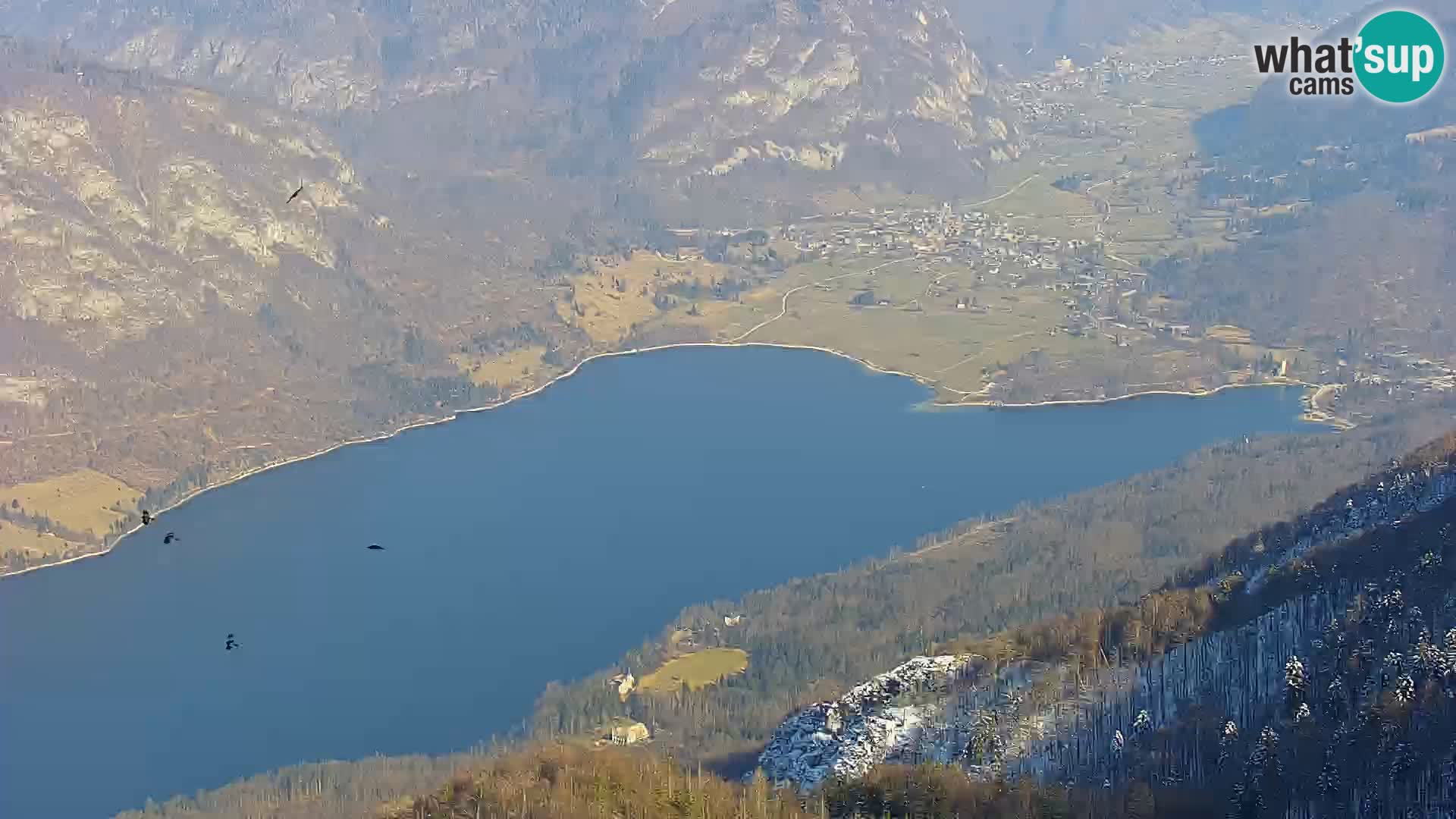 Spletna kamera Bohinj jezero in na Triglav – pogled s smučišča Vogel