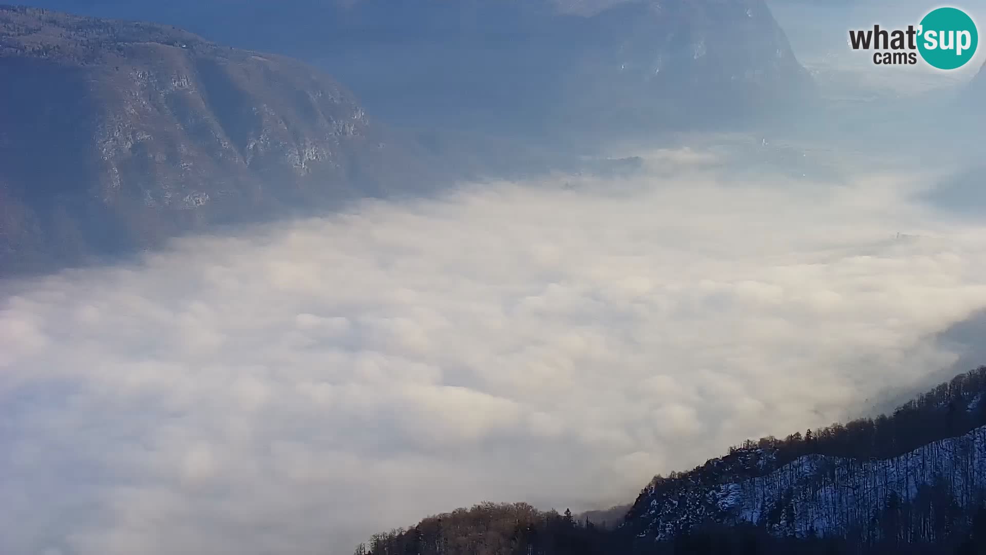 Lago di  Bohinj – Ribčev Laz