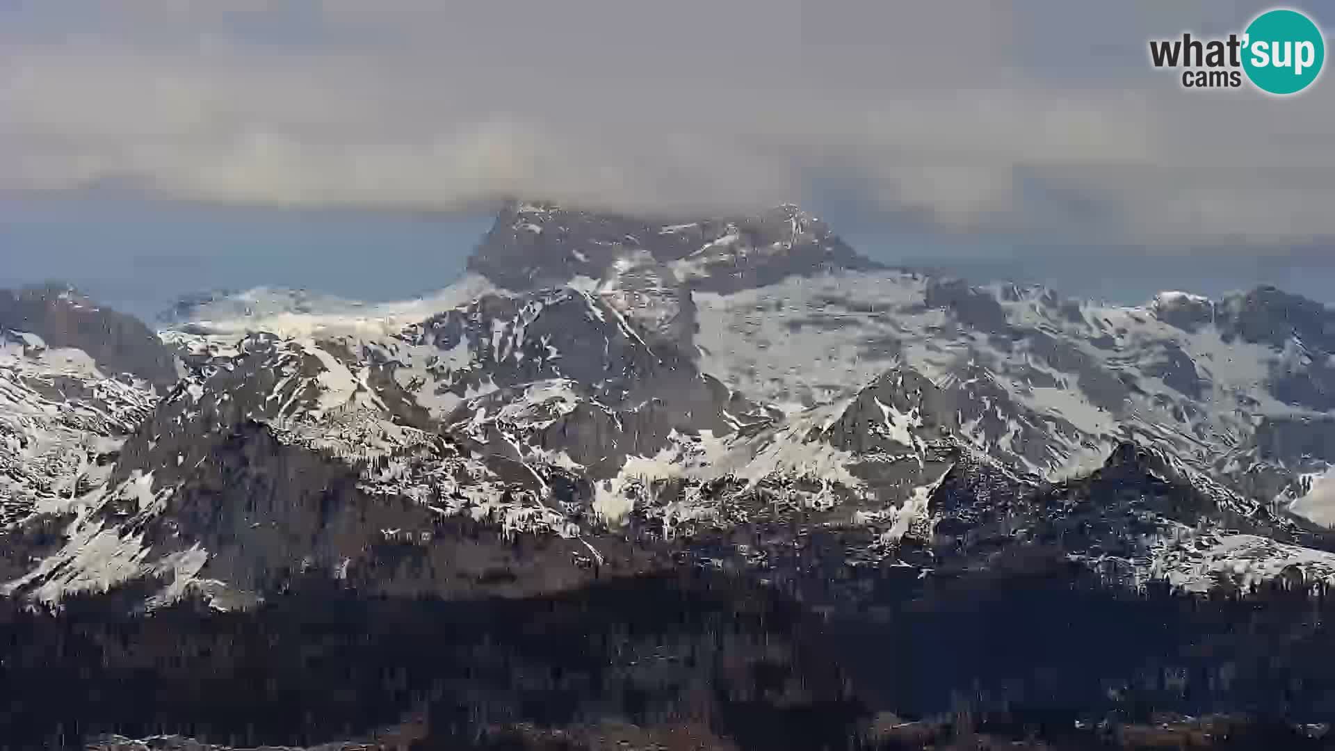 Webcam lac de Bohinj et Triglav – vue depuis la station de ski de Vogel