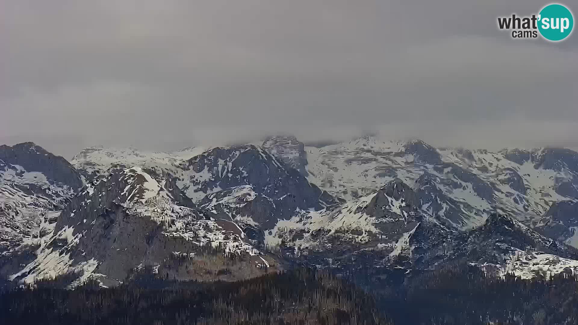 Webcam lac de Bohinj et Triglav – vue depuis la station de ski de Vogel