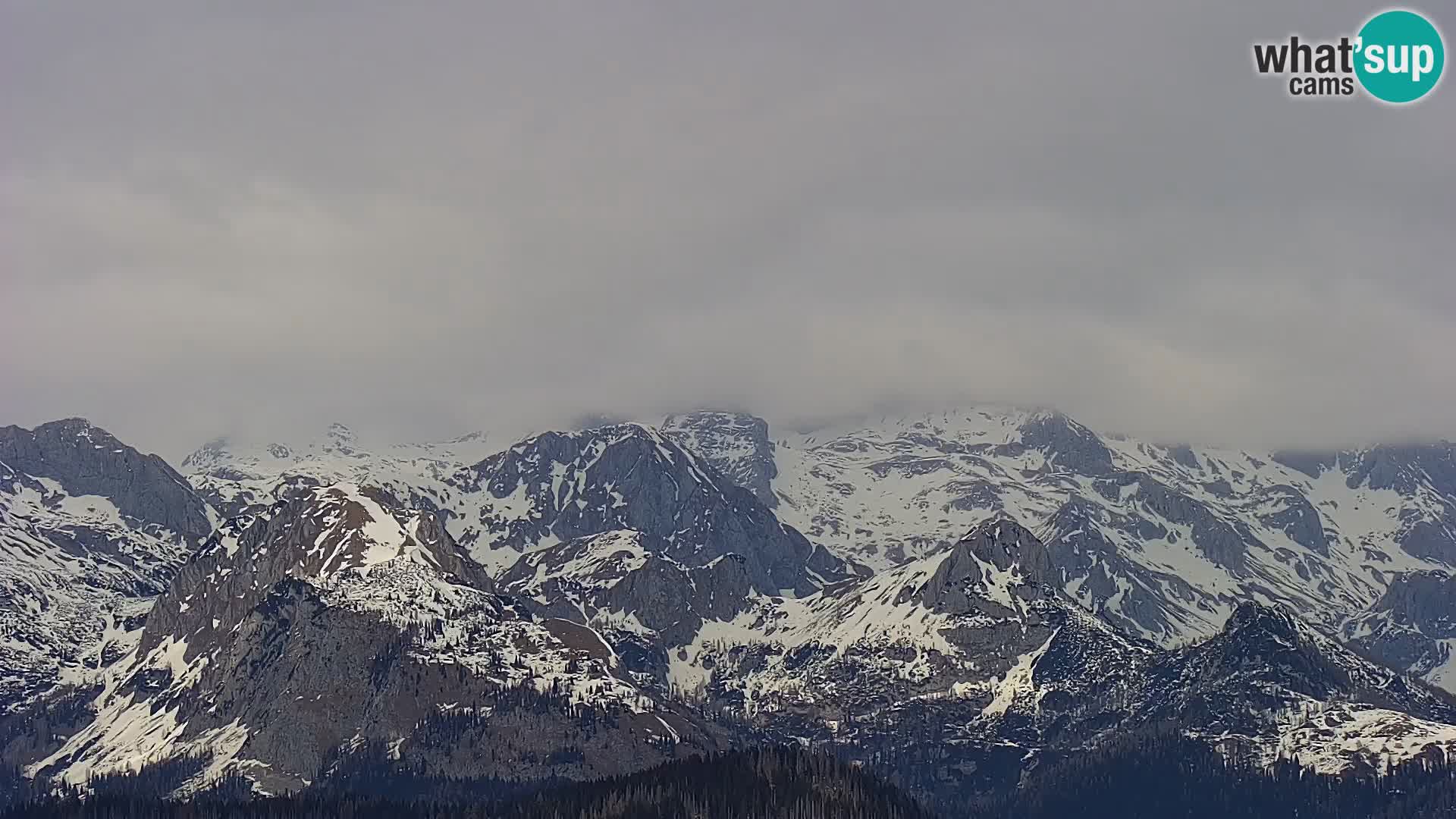 Webcam Bohinj See und Triglav – Blick vom Skigebiet Vogel