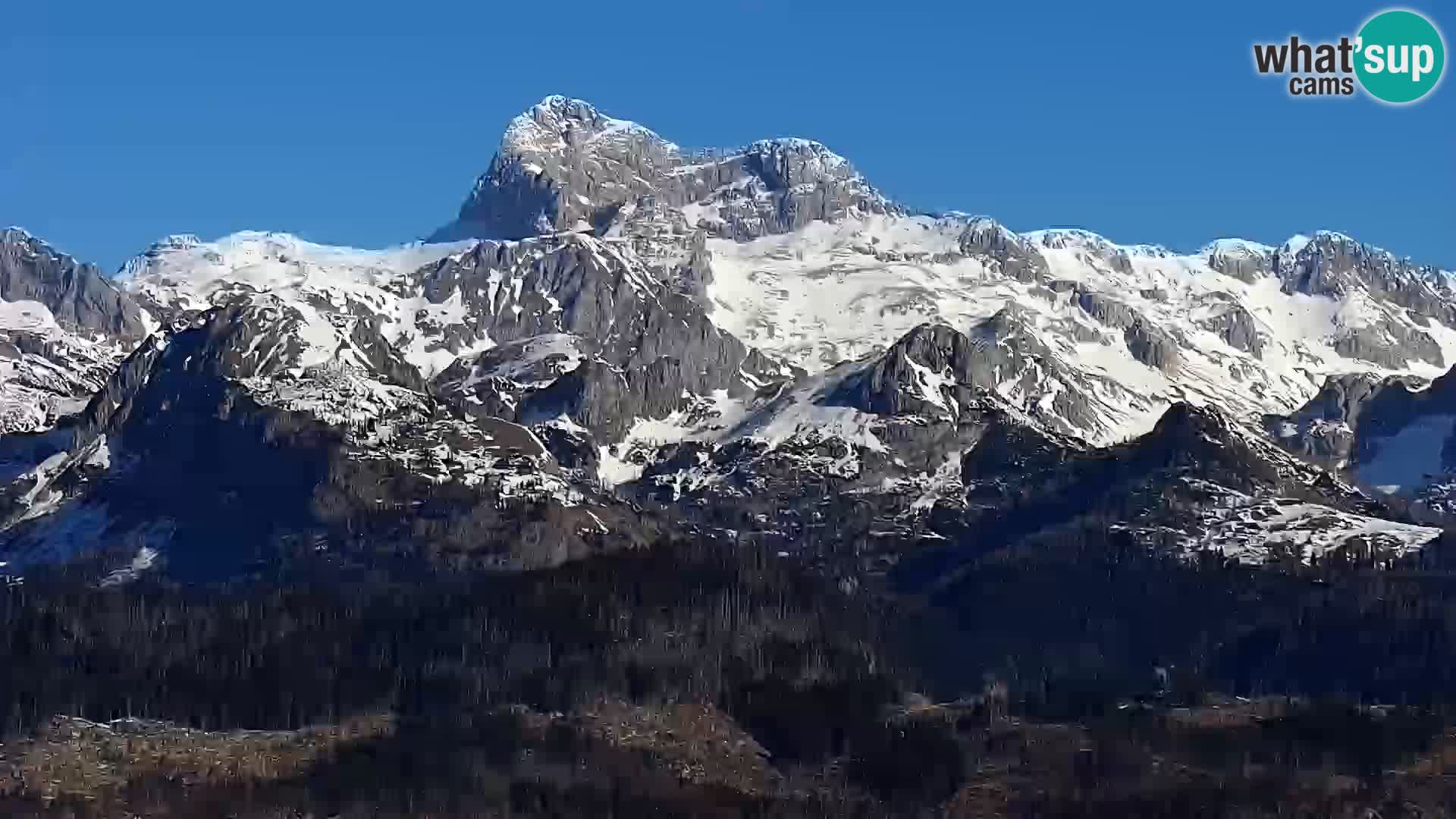 Web kamera Bohinjsko jezero i Triglav – pogled sa skijališta Vogel