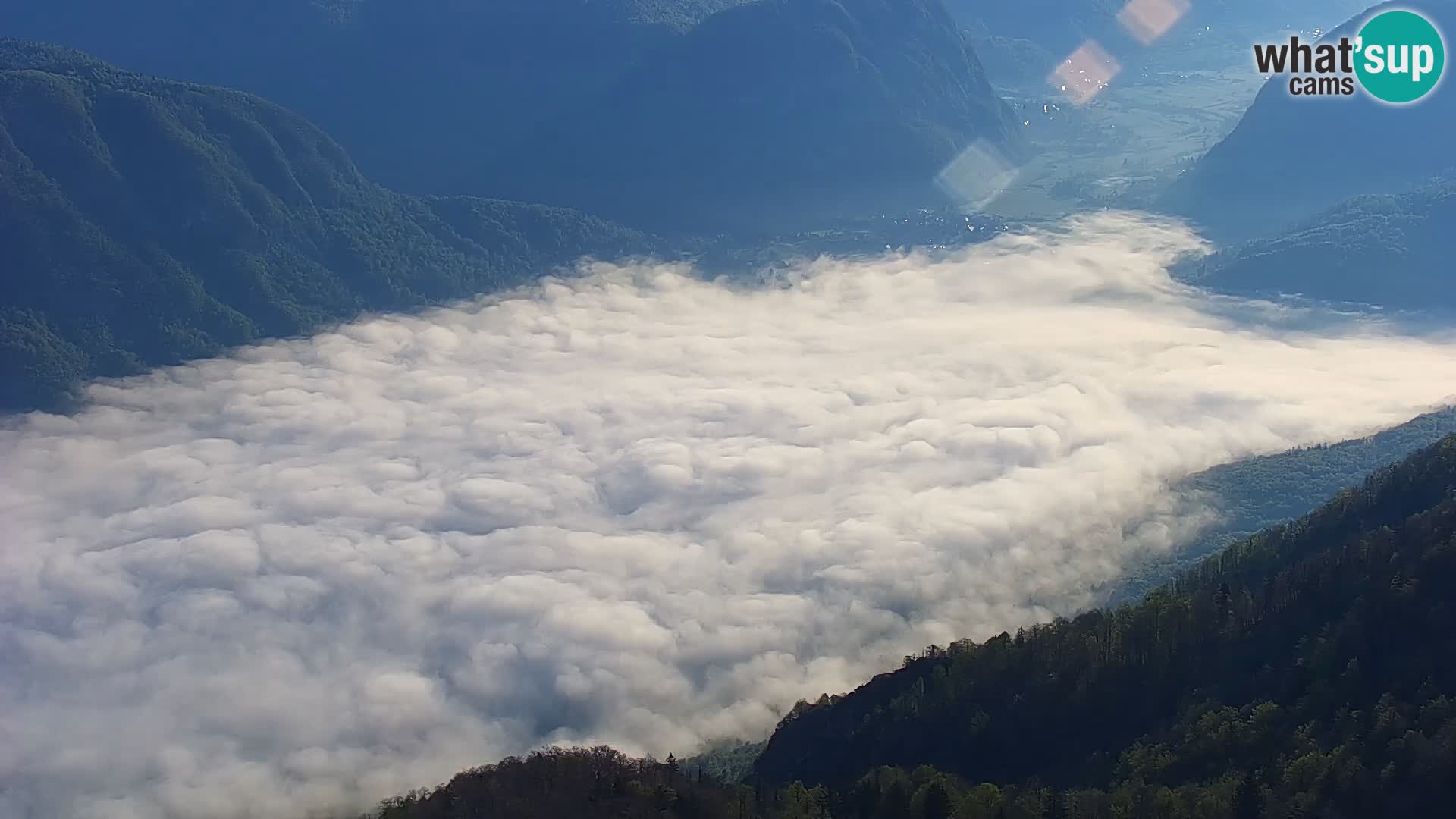 Bohinjsko jezero – Ribčev Laz