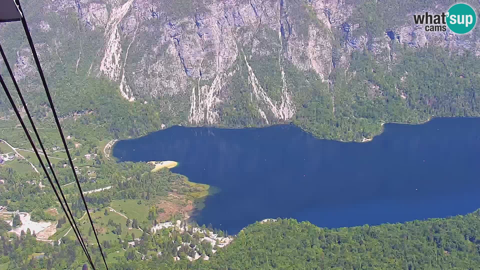 Webcam Bohinj See und Triglav – Blick vom Skigebiet Vogel
