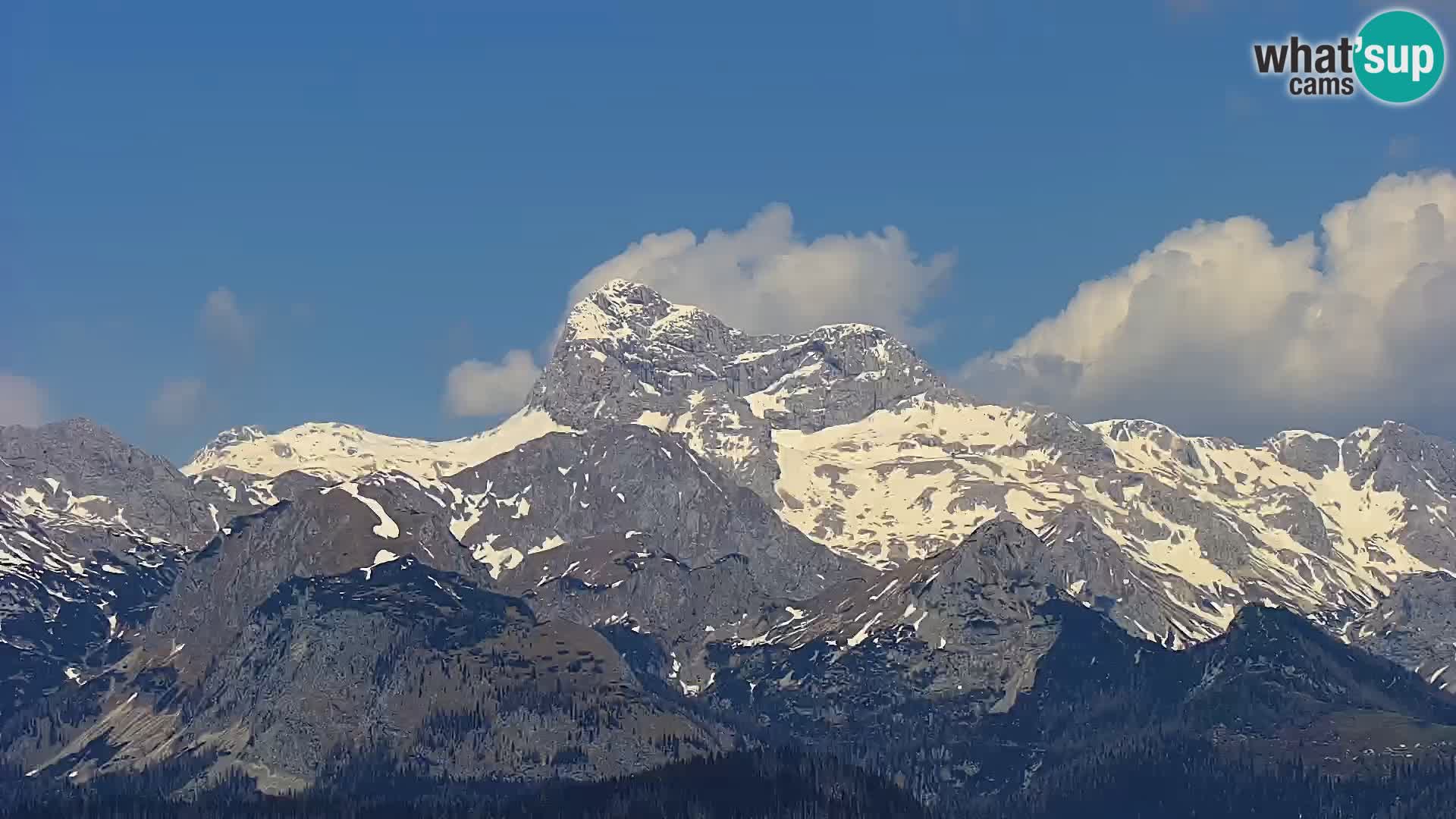 Spletna kamera Bohinj jezero in na Triglav – pogled s smučišča Vogel