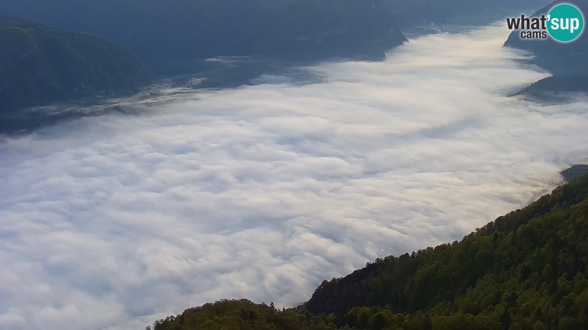 Lake Bohinj – Ribčev Laz