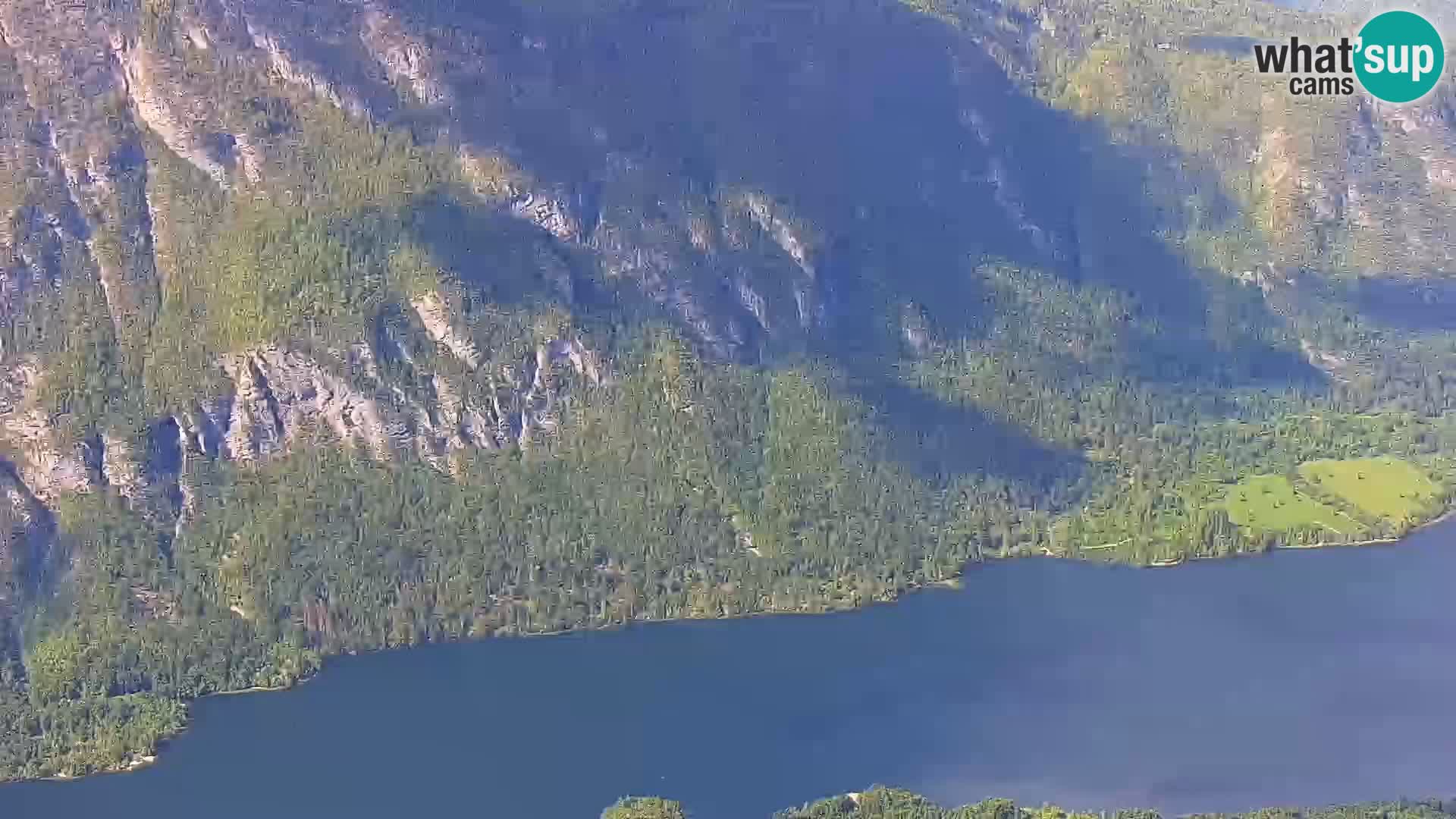 Webcam Bohinj See und Triglav – Blick vom Skigebiet Vogel