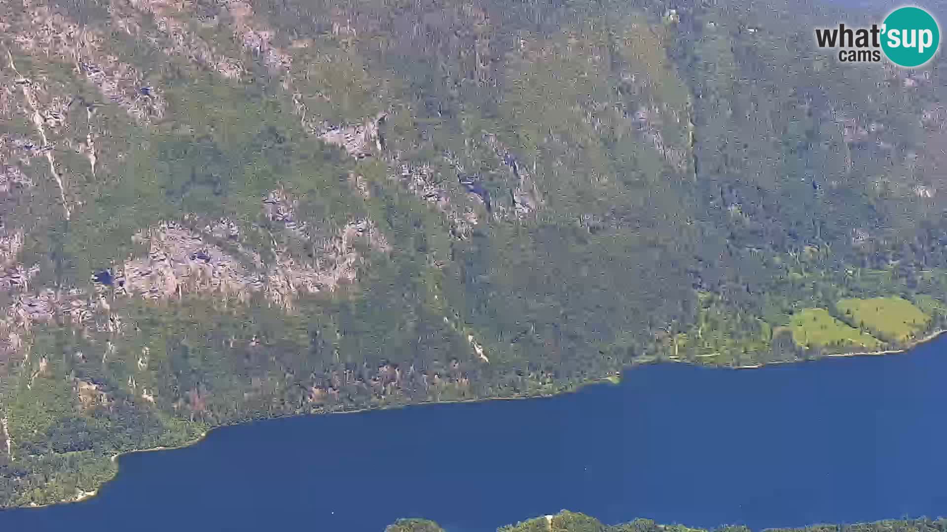 Webcam lac de Bohinj et Triglav – vue depuis la station de ski de Vogel