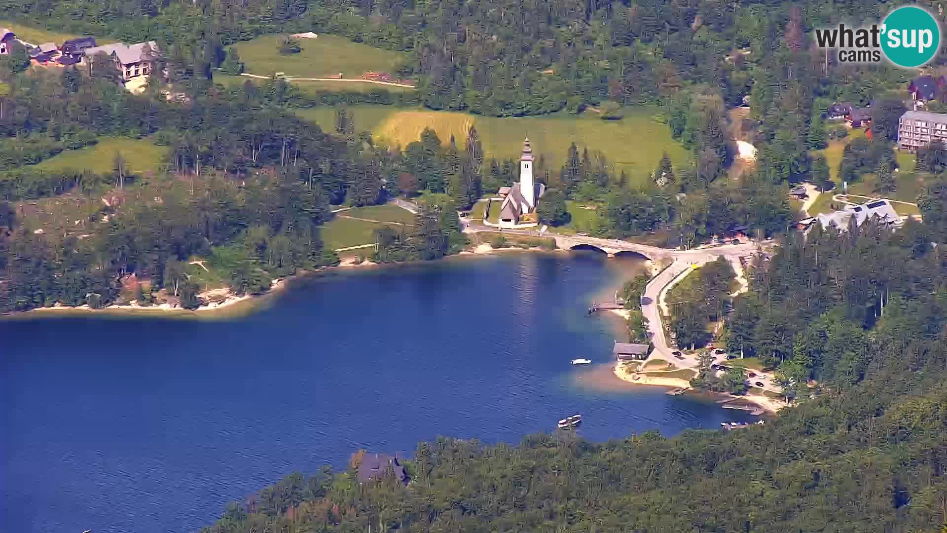 Webcam lac de Bohinj et Triglav – vue depuis la station de ski de Vogel