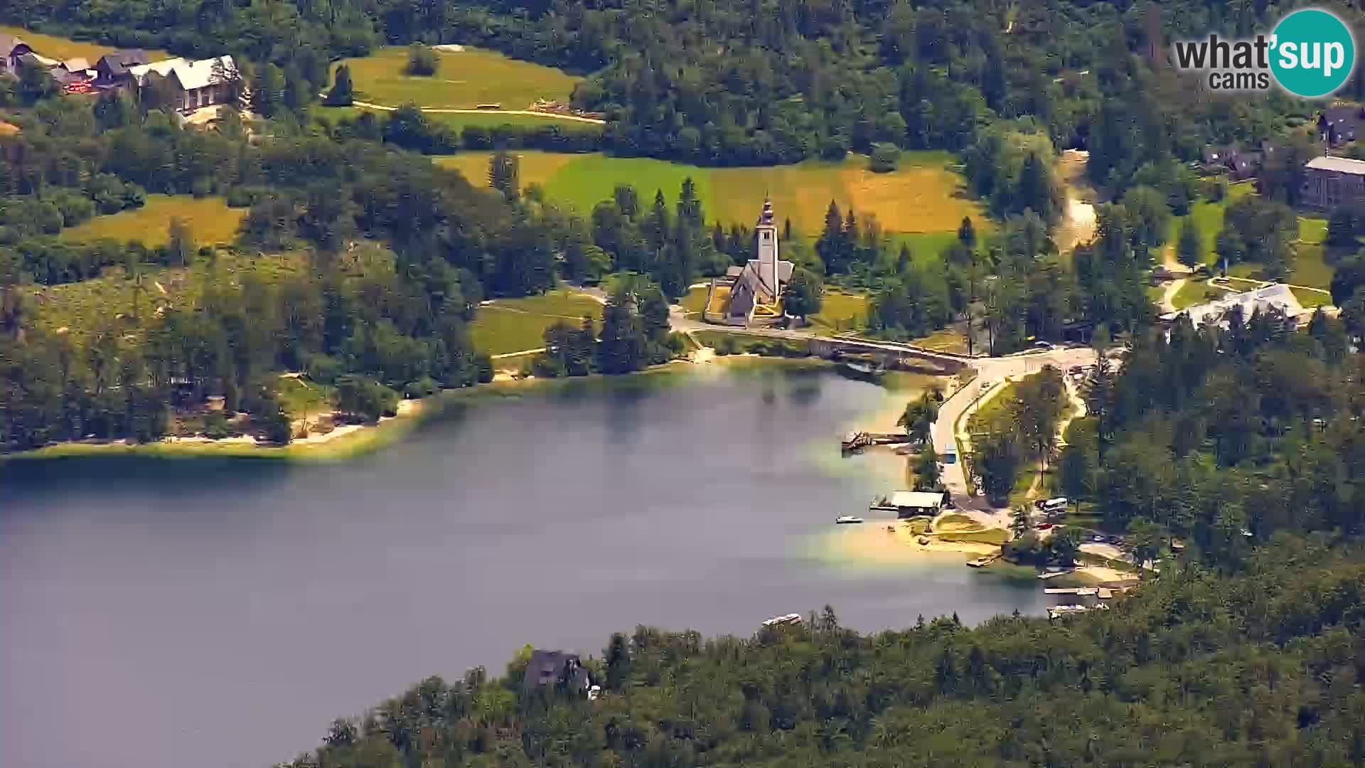 Webcam lago di Bohinj e del Triglav – vista dalla stazione sciistica di Vogel