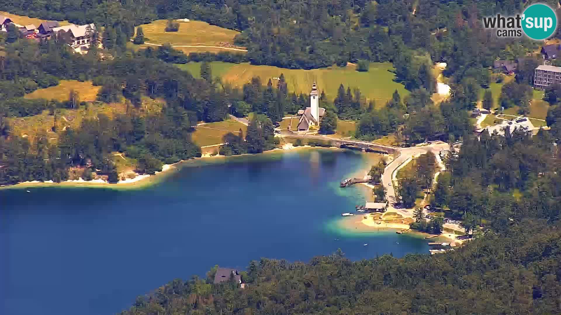 Bohinjsko jezero – Ribčev Laz