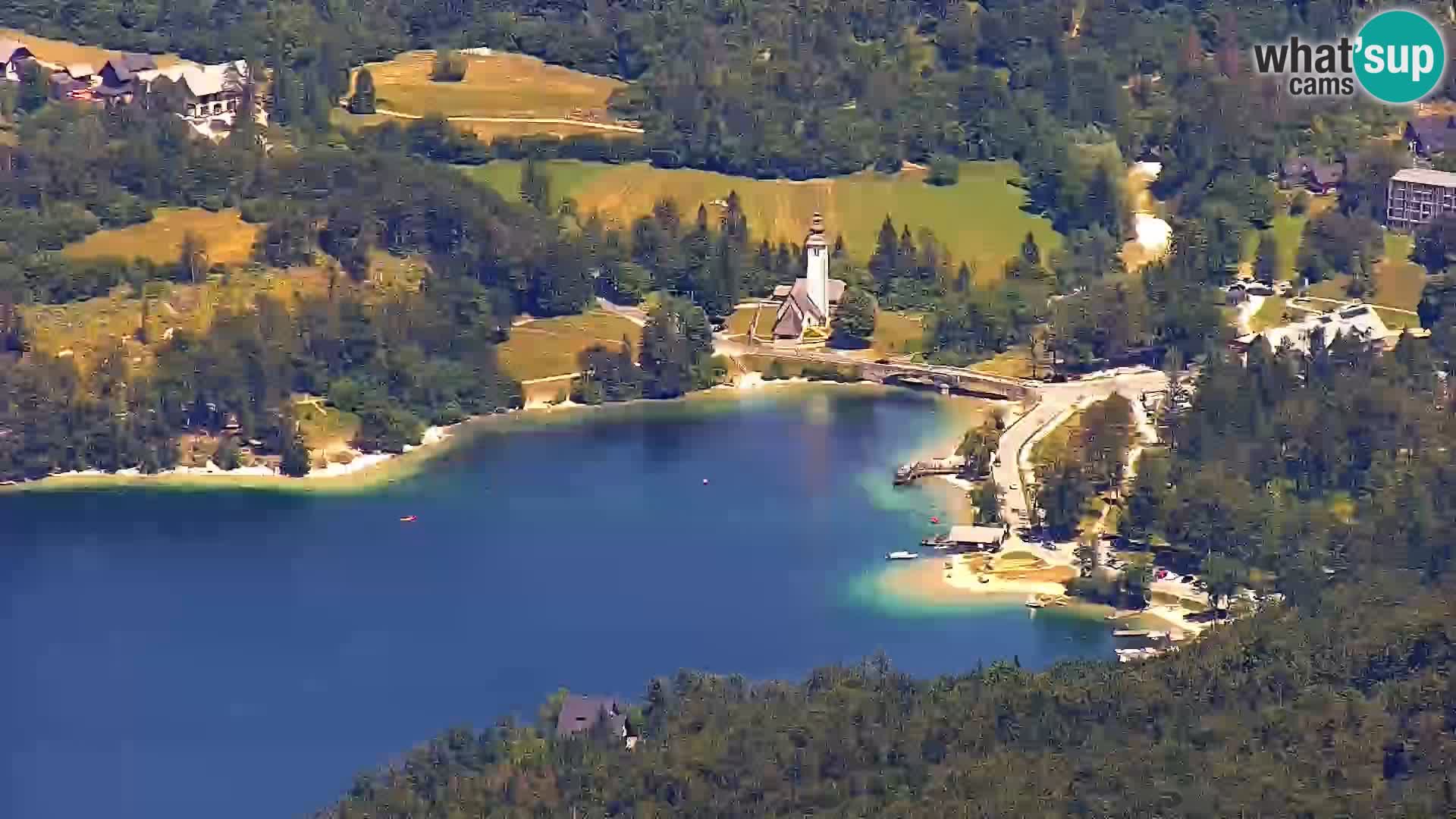 Webcam lago di Bohinj e del Triglav – vista dalla stazione sciistica di Vogel